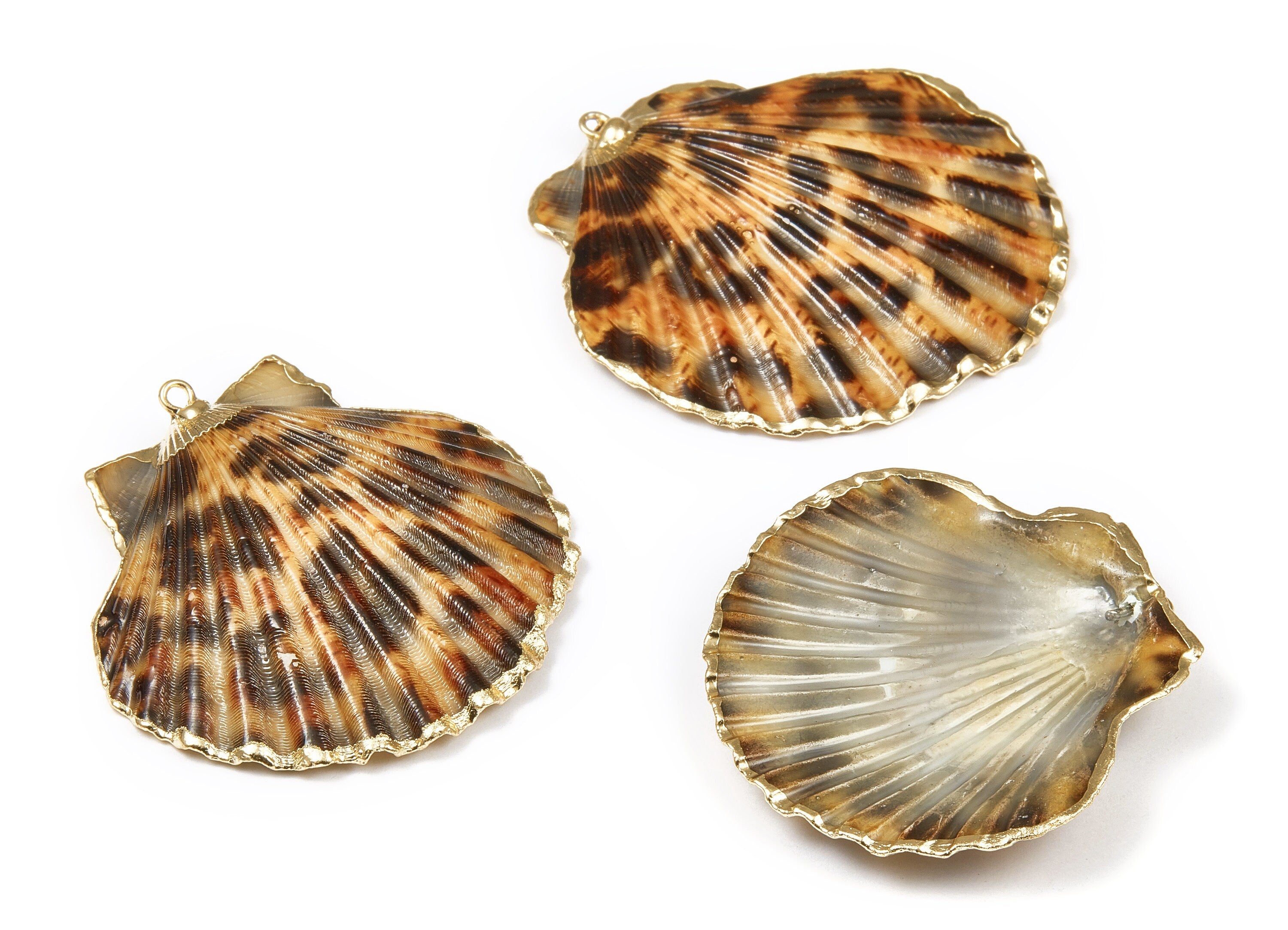 Mussel Shell Charms - Seashell Earrings and Pendant - Gold Tone Plated Earrings - 1 Hole - 50.32x48.7x2.15mm - SF1011D - DOMEDBAZAAR
