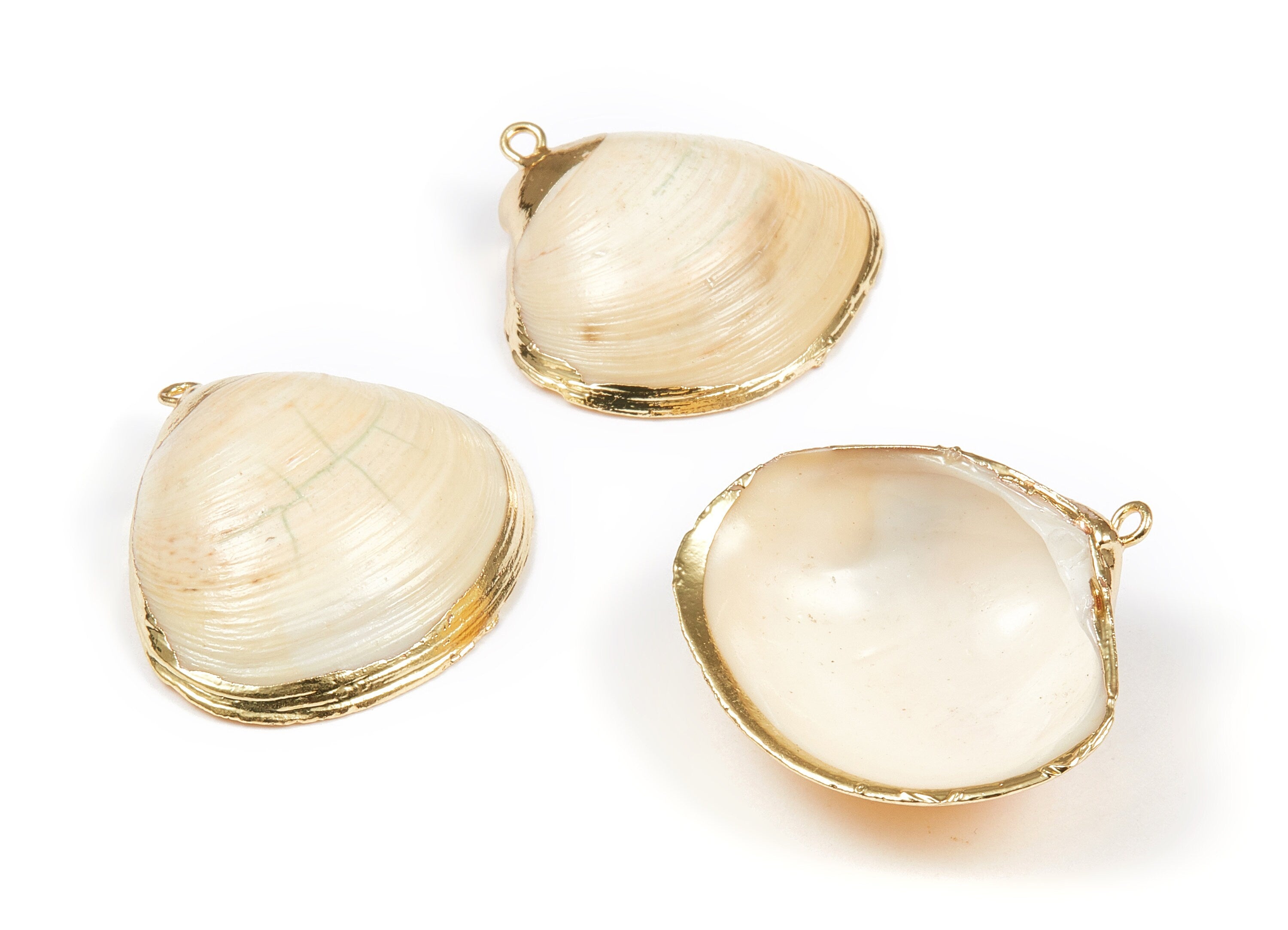 Mussel Shell Charms - Seashell Earrings and Pendant - Gold Tone Plated Earrings - 1 Hole - 33.96x31.88x1.53mm - SF1084 - DOMEDBAZAAR