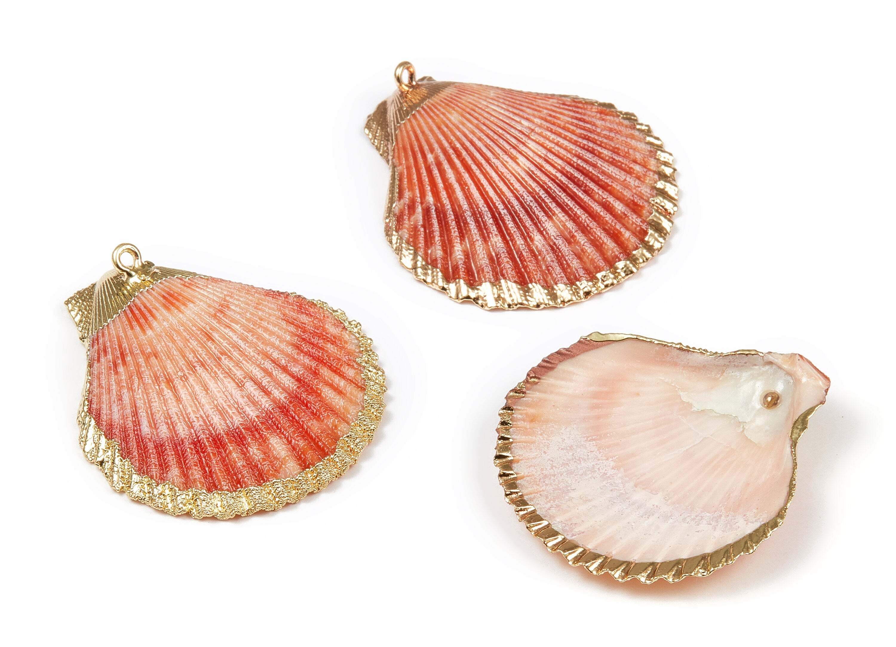 Mussel Shell Charms - Seashell Earrings and Pendant - Gold Tone Plated Earrings - 1 Hole - 46.35x40.09x0.93mm - SF1087 - DOMEDBAZAAR