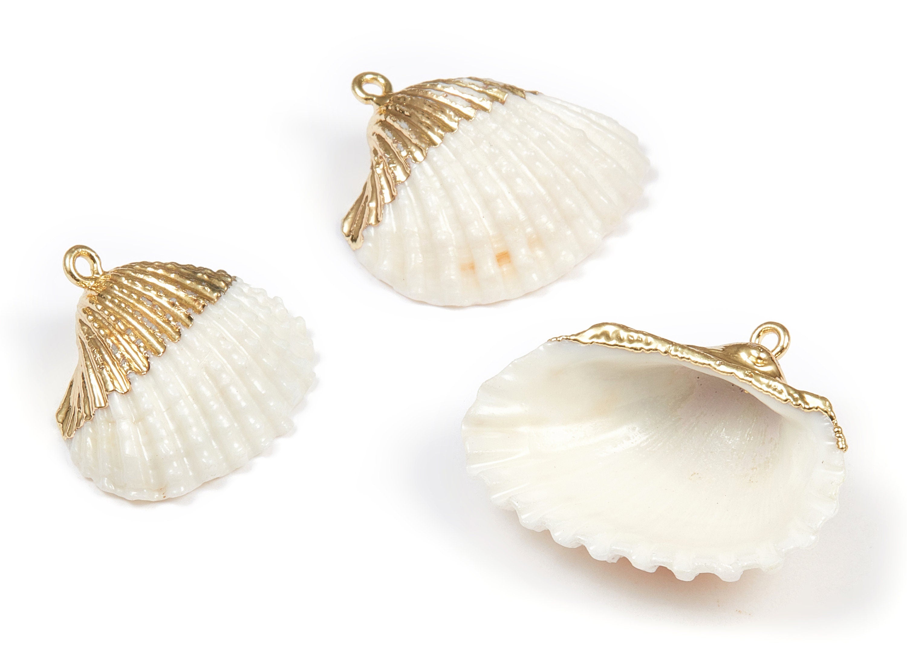 Mussel Shell Charms - Seashell Earrings and Pendant - Gold Tone Plated Earrings - 1 Hole - 31.49x28.24x2.27mm - SF1080 - DOMEDBAZAAR