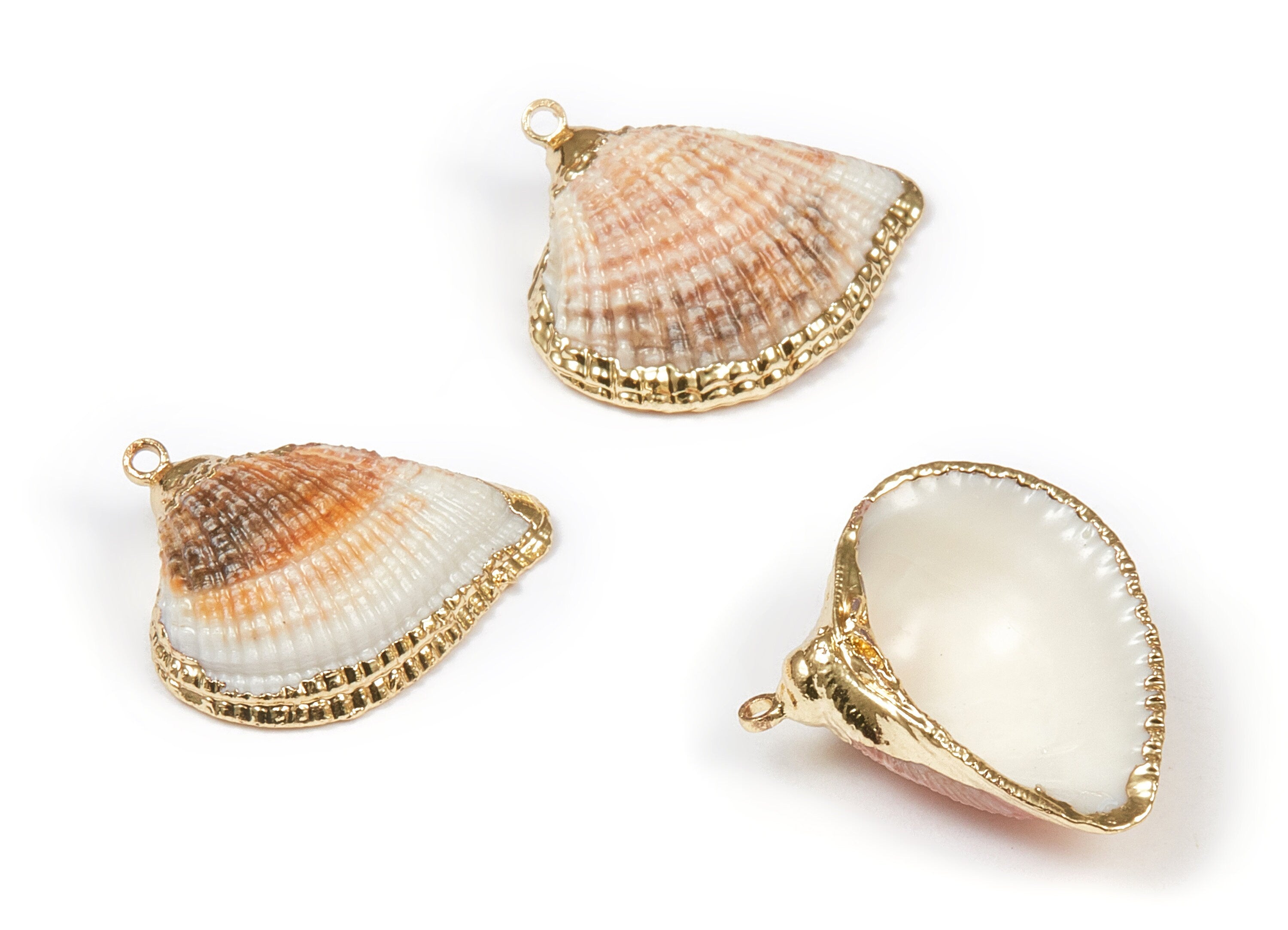 Mussel Shell Charms - Seashell Earrings and Pendant - Gold Tone Plated Earrings - 1 Hole - 19.67x19.11xmm - SF1102 - DOMEDBAZAAR