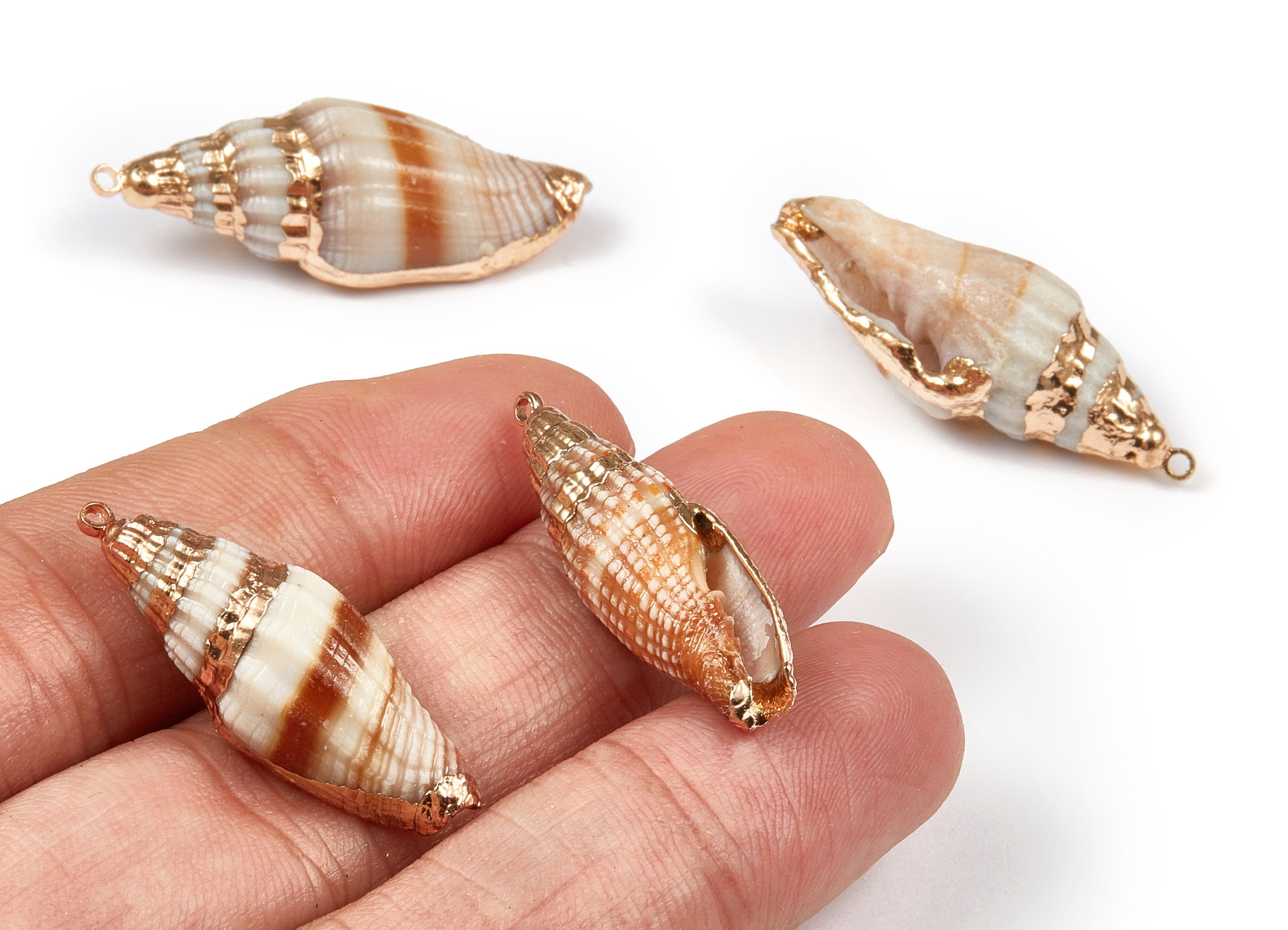 Whelk Seashell Charms - Seashell Earrings and Pendant - Gold Tone Plated Earrings - Natural Seashell - 1 Hole - 26.92x8.52 - SF1105 - DOMEDBAZAAR