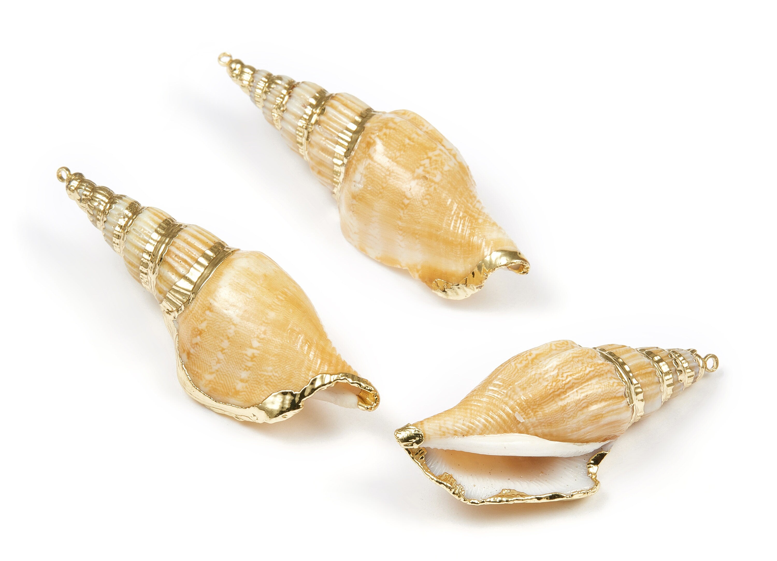 Whelk Seashell Charms - Seashell Earrings and Pendant - Gold Tone Plated Earrings - Natural Seashell - 1 Hole - 58.39x24.42 - SF1095 - DOMEDBAZAAR