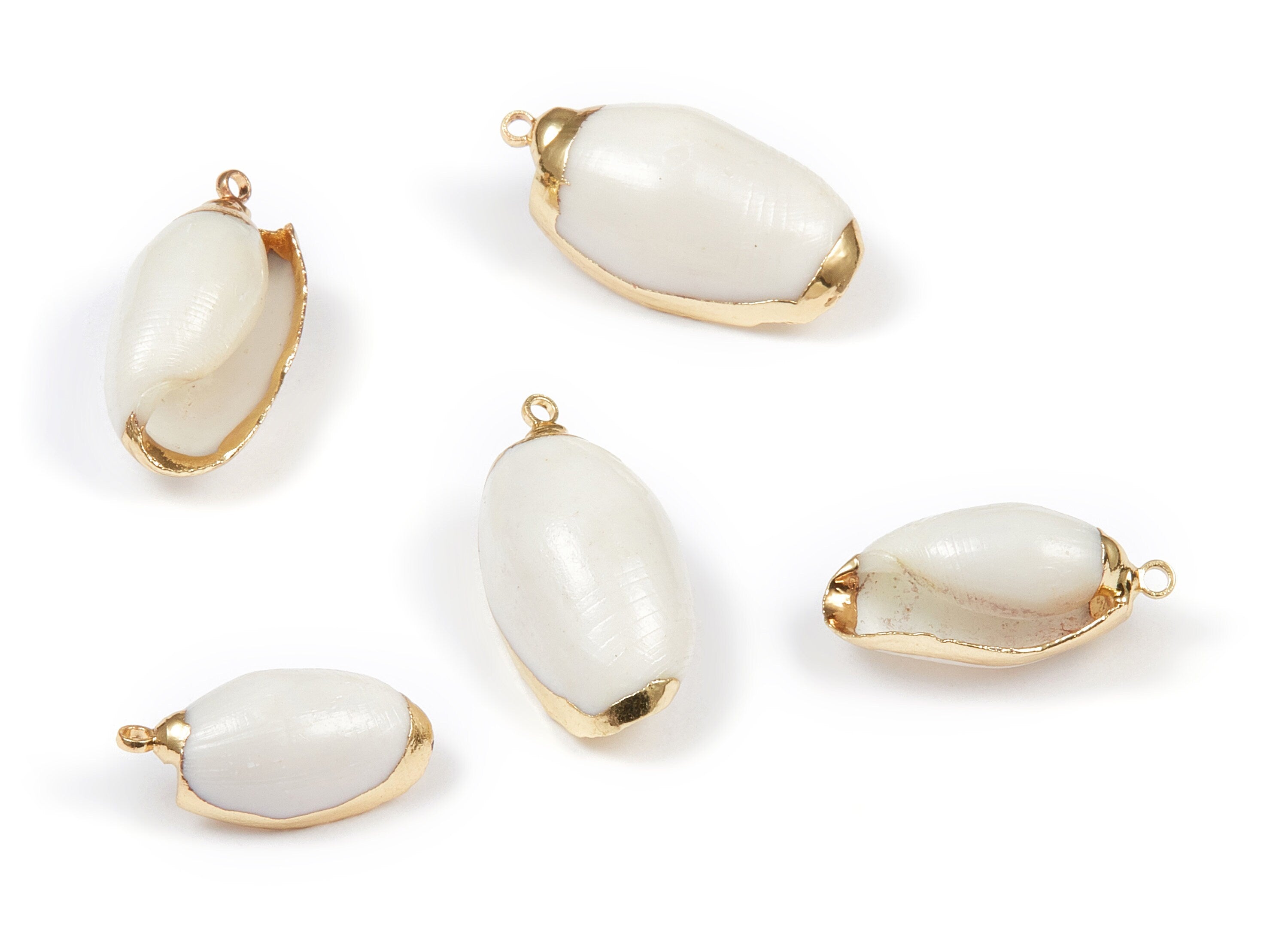 Whelk Seashell Charms - Whelk Shell Pendant - Natural Seashell Earrings - 1 Hole - 30.11x12.78x10.44mm - SF1061 - DOMEDBAZAAR