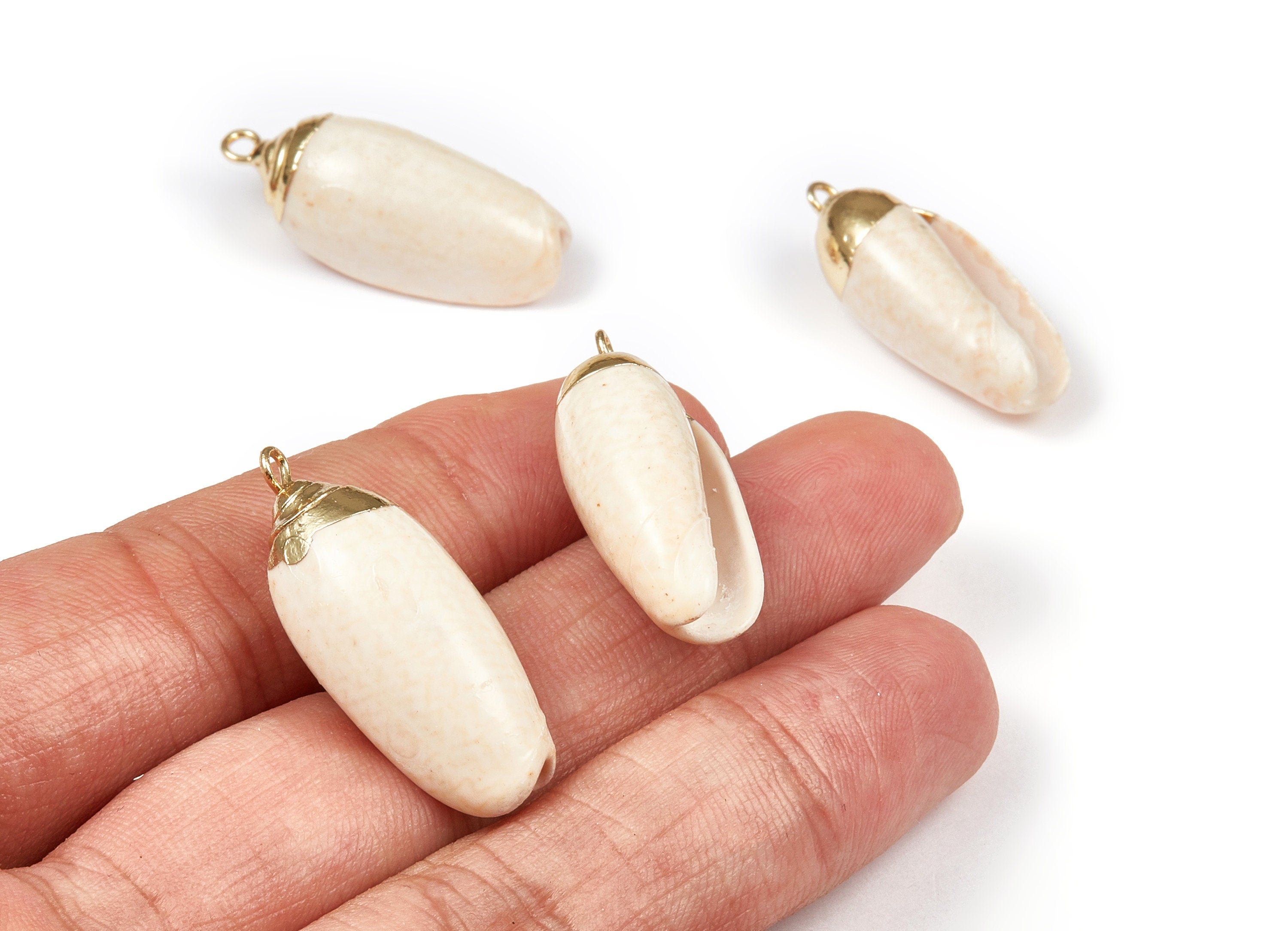Whelk Seashell Charms - Whelk Shell Pendant - Natural Seashell Earrings - 1 Hole - 22.88x10.87x8.92mm - SF1062 - DOMEDBAZAAR