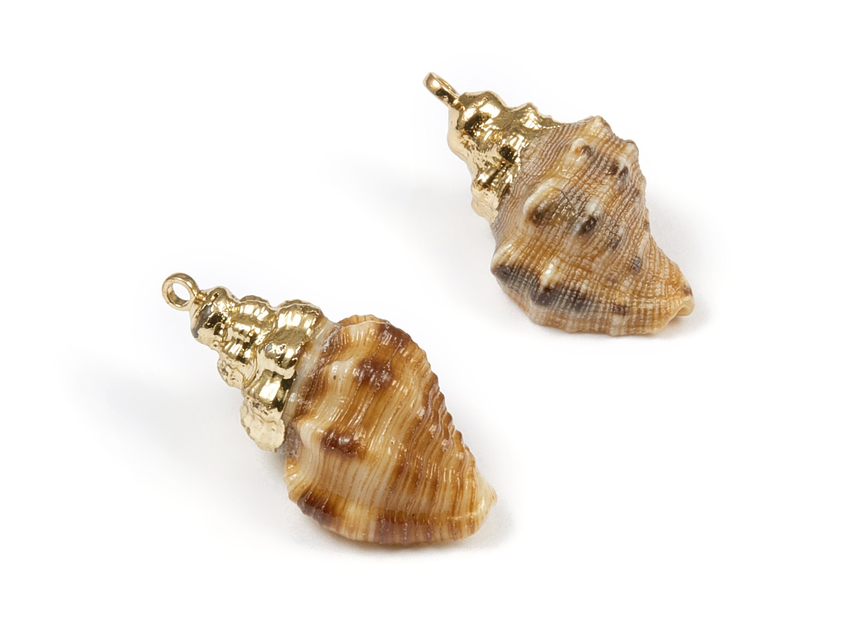 Whelk Seashell Charms - Whelk Shell Pendant - Natural Seashell Earrings - 1 Hole - 23.84x12.18x10.5mm - SF1065 - DOMEDBAZAAR