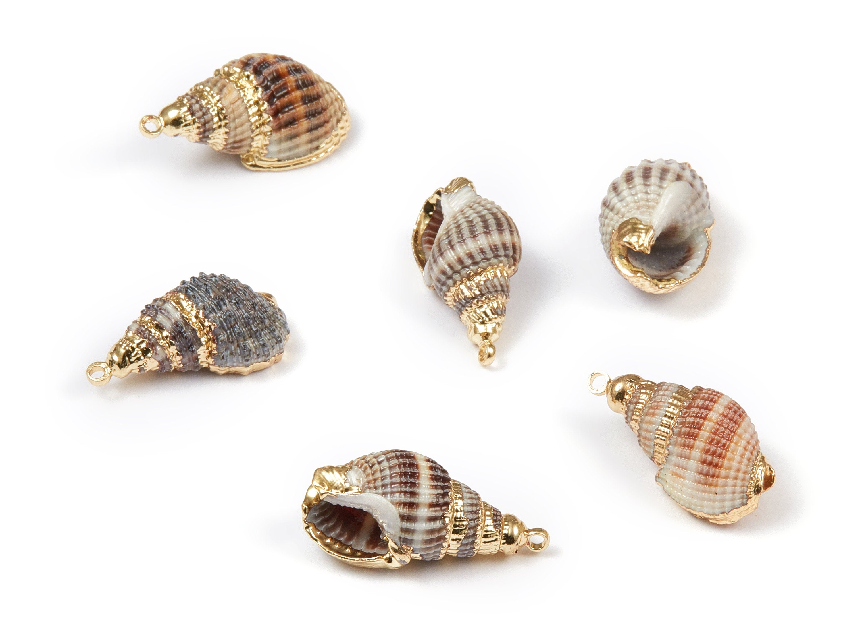 Whelk Seashell Charms - Whelk Shell Pendant - Natural Seashell Earrings - 1 Hole - 23.16x11.51x10.7mm - SF1066 - DOMEDBAZAAR