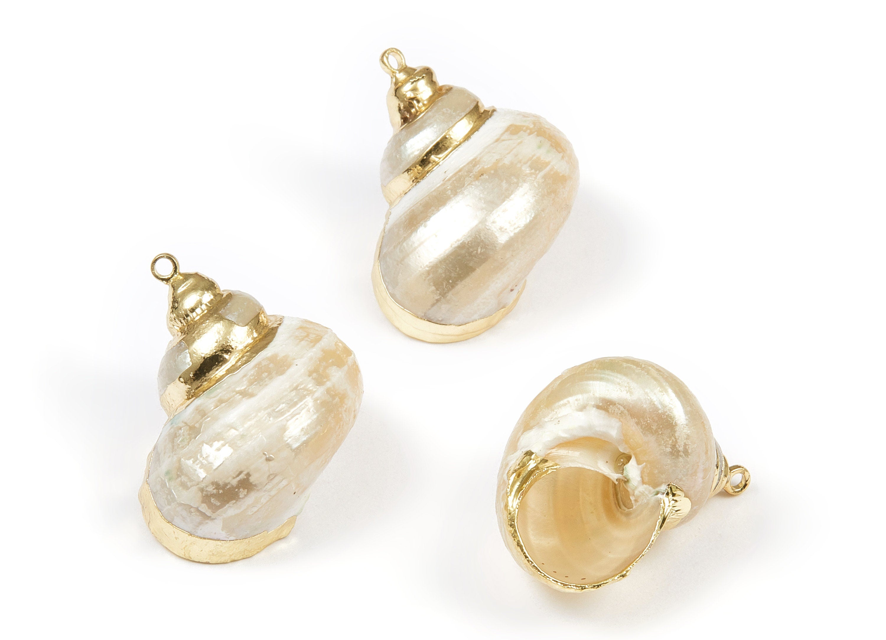 Whelk Seashell Charms - Seashell Earrings and Pendant - Gold Tone Plated Earrings - Natural Seashell - 1 Hole - 29.58x25.67xmm - SF1093 - DOMEDBAZAAR