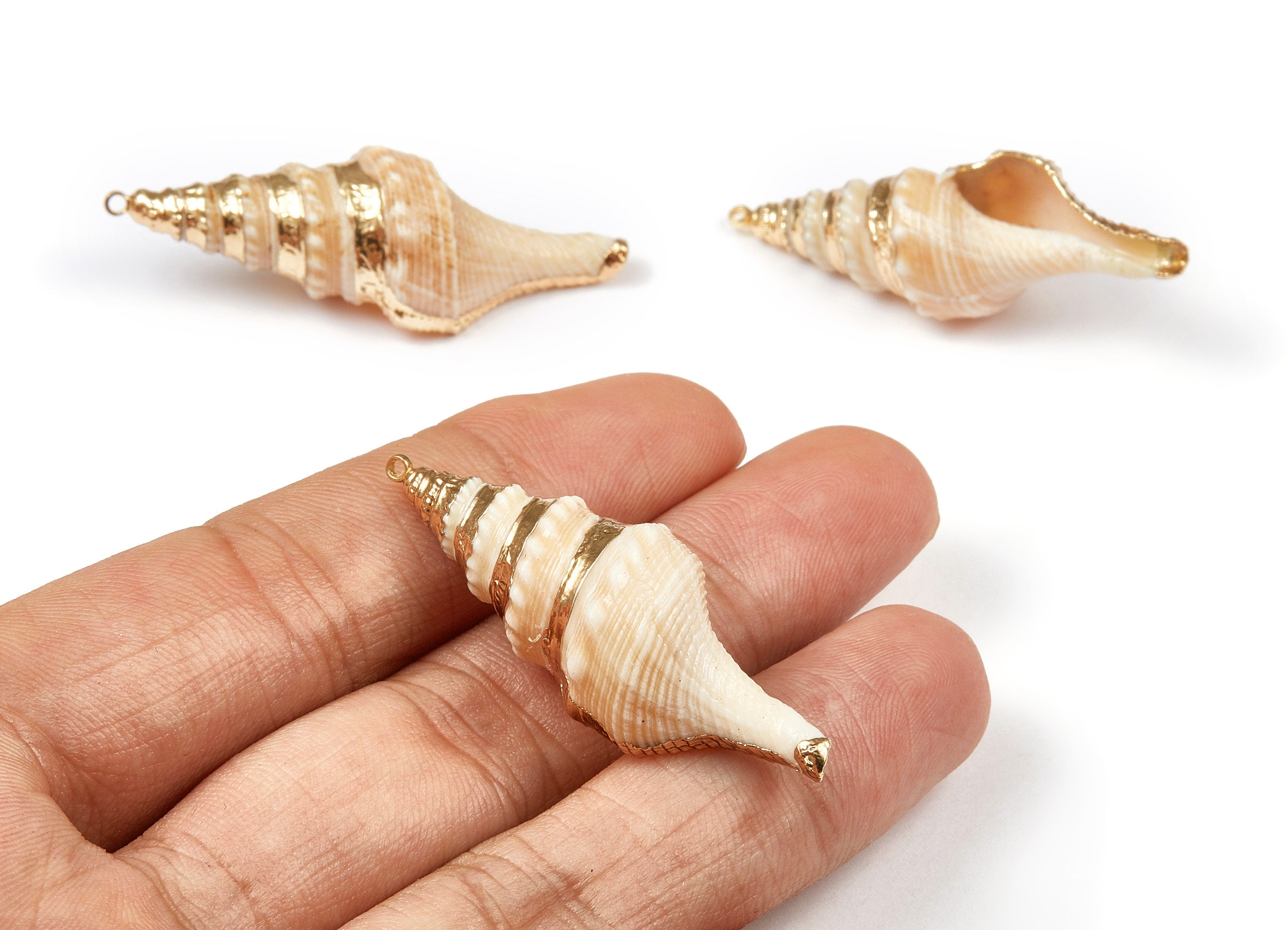 Whelk Seashell Charms - Whelk Shell Pendant - Natural Seashell Earrings - 1 Hole - 46.02x15.1x15.5mm - SF1068 - DOMEDBAZAAR