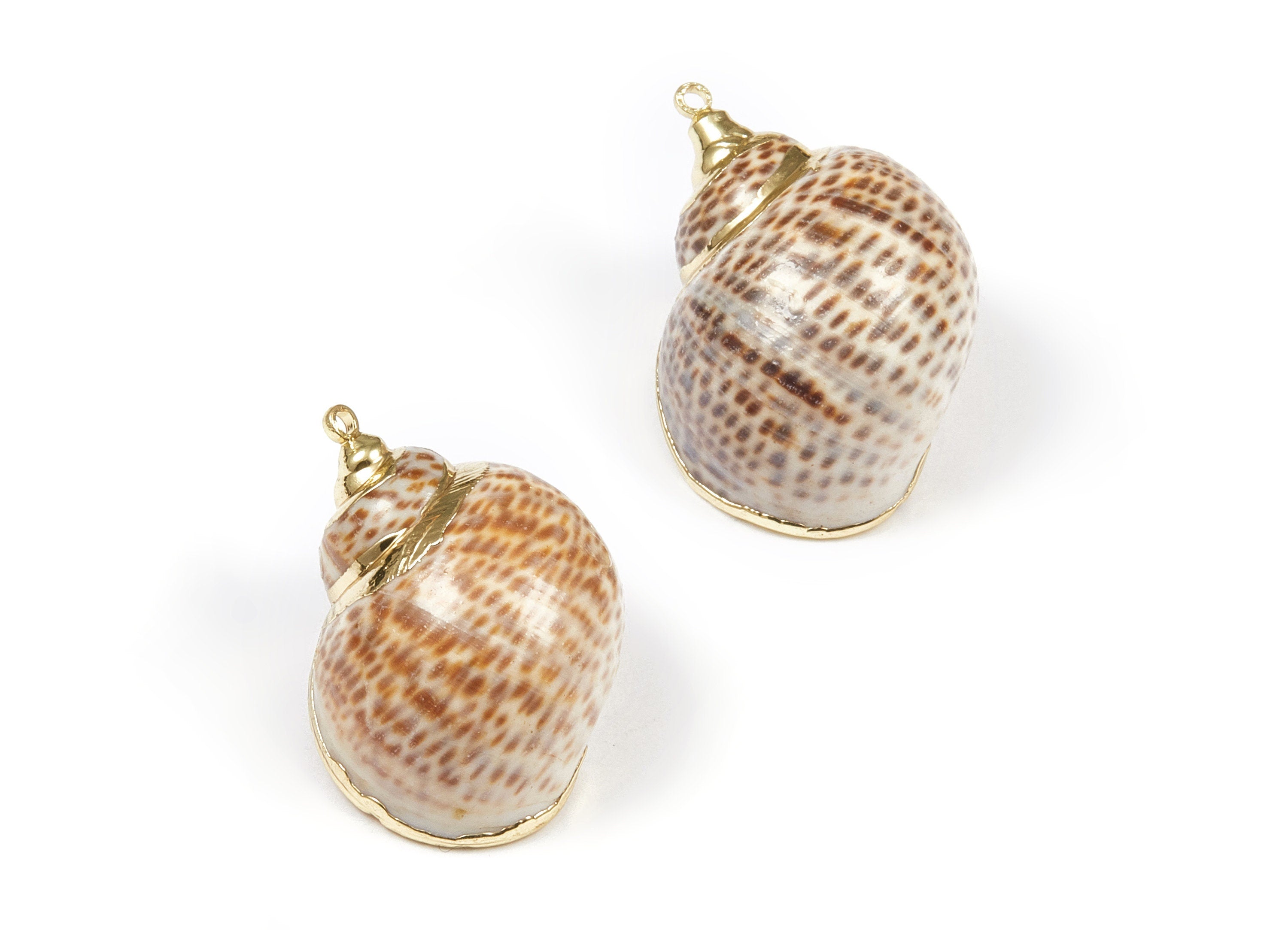 Whelk Seashell Charms - Seashell Pendant - Gold Tone Plated Earrings - Natural Seashell - 1 Hole - 28.32x24.77xmm - SF1075 - DOMEDBAZAAR