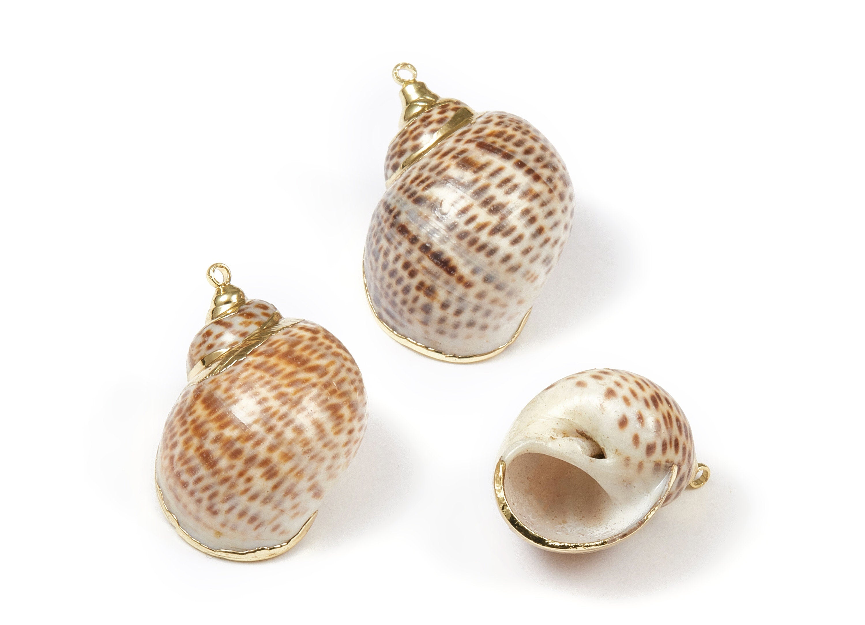 Whelk Seashell Charms - Seashell Pendant - Gold Tone Plated Earrings - Natural Seashell - 1 Hole - 28.32x24.77xmm - SF1075 - DOMEDBAZAAR