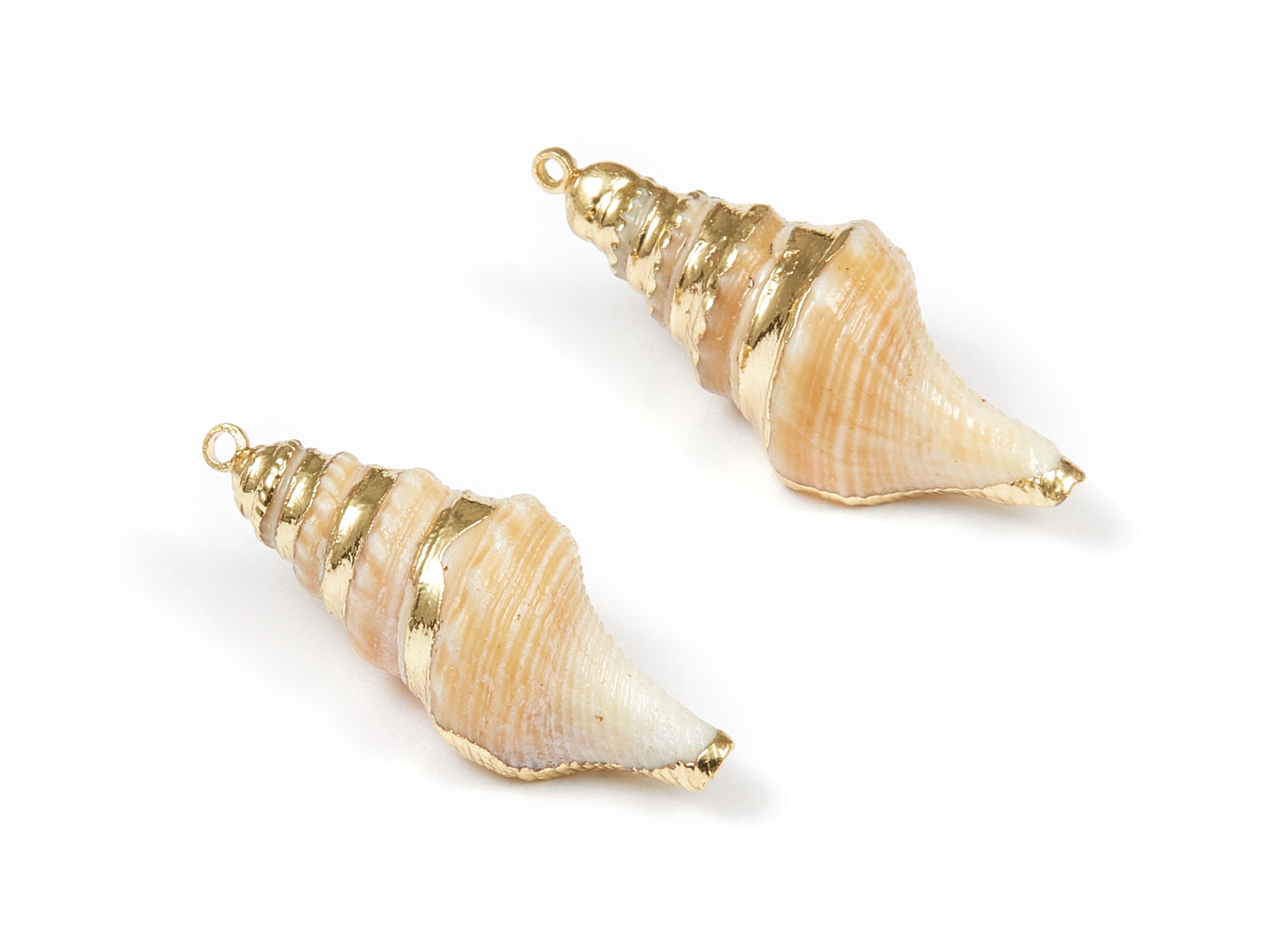 Whelk Seashell Charms - Whelk Shell Pendant - Natural Seashell Earrings - 1 Hole - 31.87x12.03x7.5mm - SF1069 - DOMEDBAZAAR