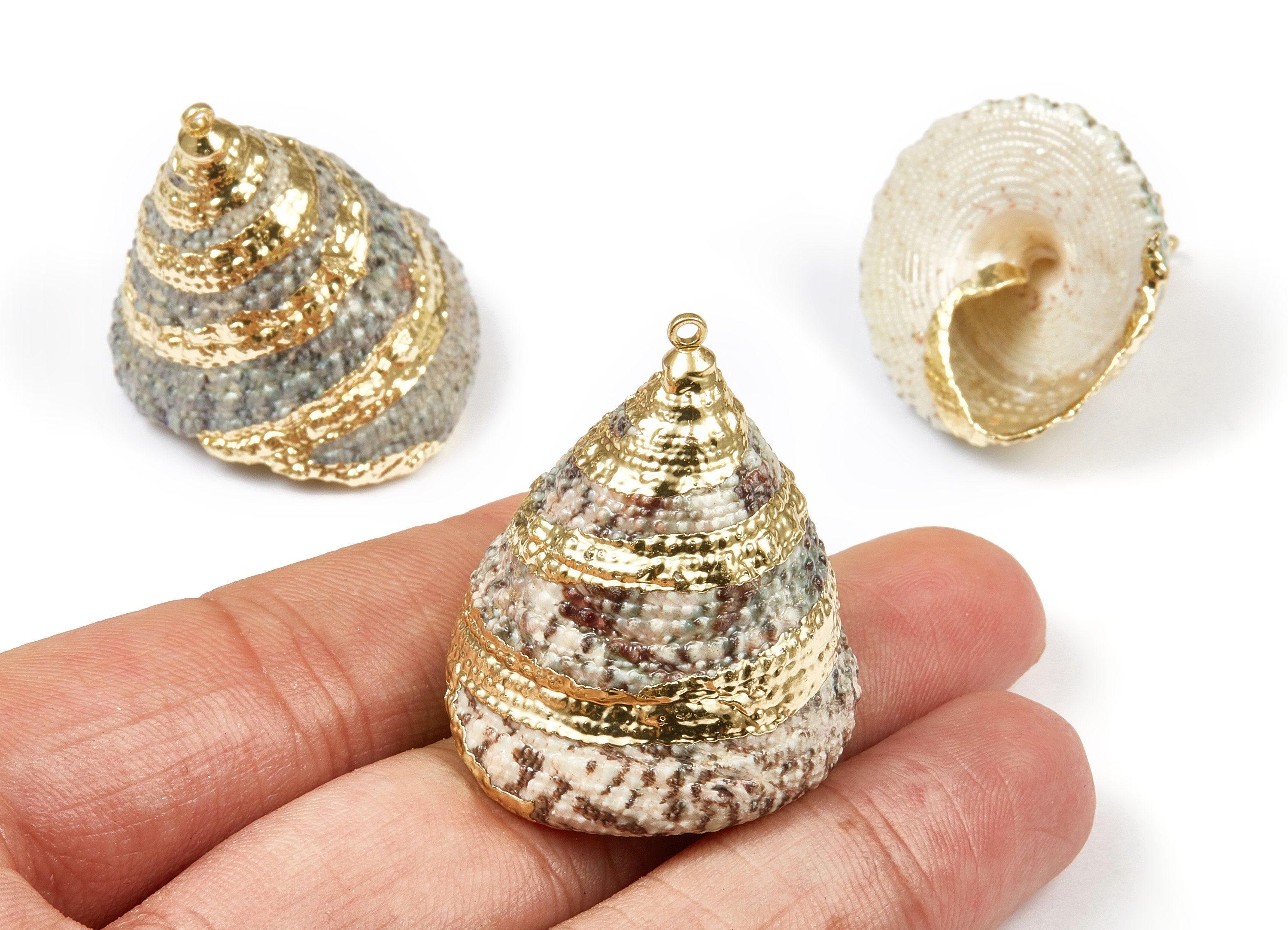 Cone Seashell Charms - Whelk Seashell Pendant - Natural Seashell Earrings - 1 Hole - 28.82x28.69x32.1mm - SF1071 - DOMEDBAZAAR