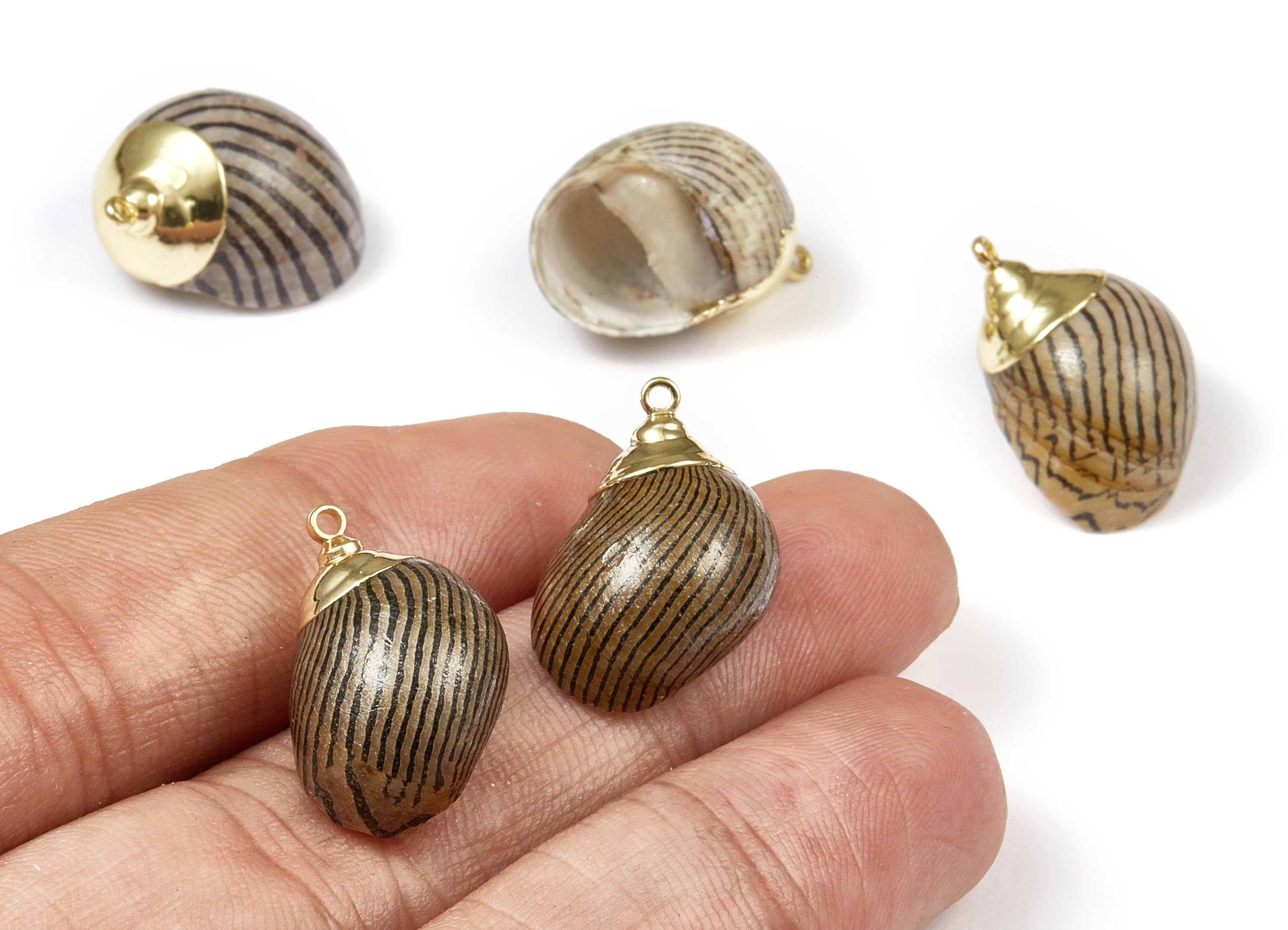 Whelk Seashell Charms - Seashell Earrings and Pendant - Gold Tone Plated Earrings - Natural Seashell - 1 Hole - 26.3x14.89 - SF1104 - DOMEDBAZAAR