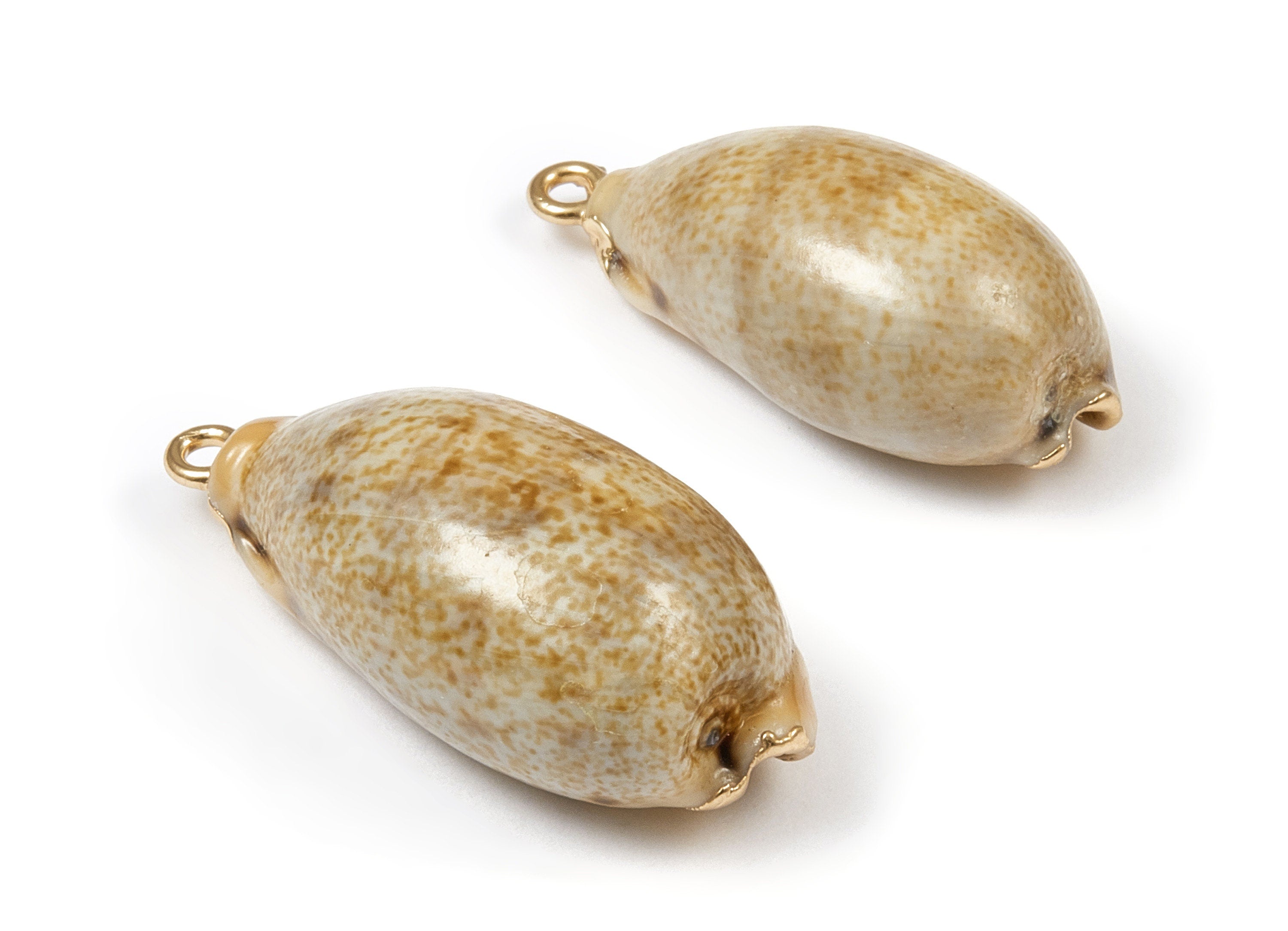 Cowrie Seashell Charms - Mussel Shell Earrings and Pendant - Gold Tone Plated Earrings - 1 Hole - 31.55x15.91x10.59mm - SF1032 - DOMEDBAZAAR