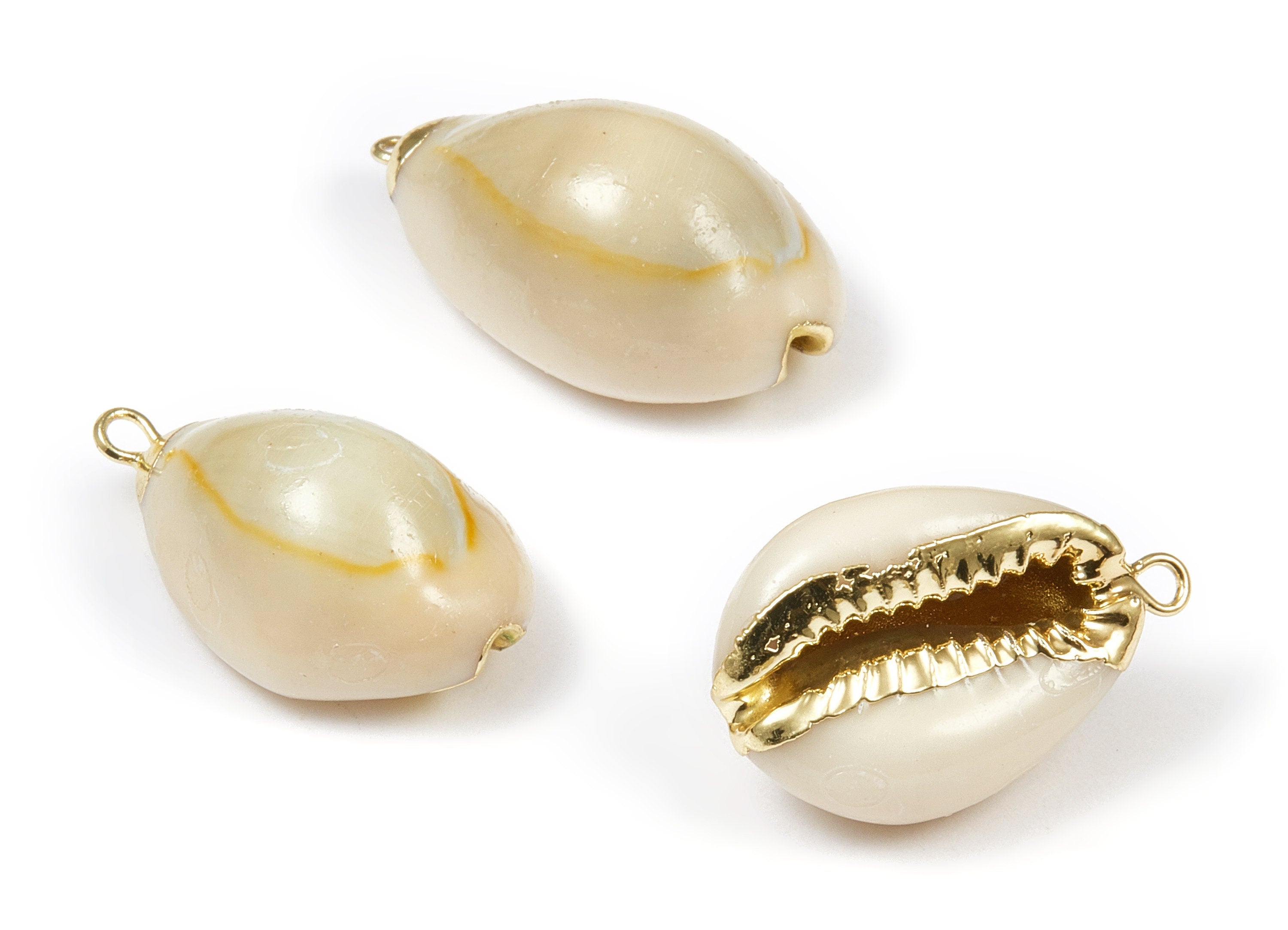 Cowrie Seashell Charms - Mussel Shell Earrings and Pendant - Gold Tone Plated Earrings - 1 Hole - 27.09x15.89x11.34mm - SF1056 - DOMEDBAZAAR
