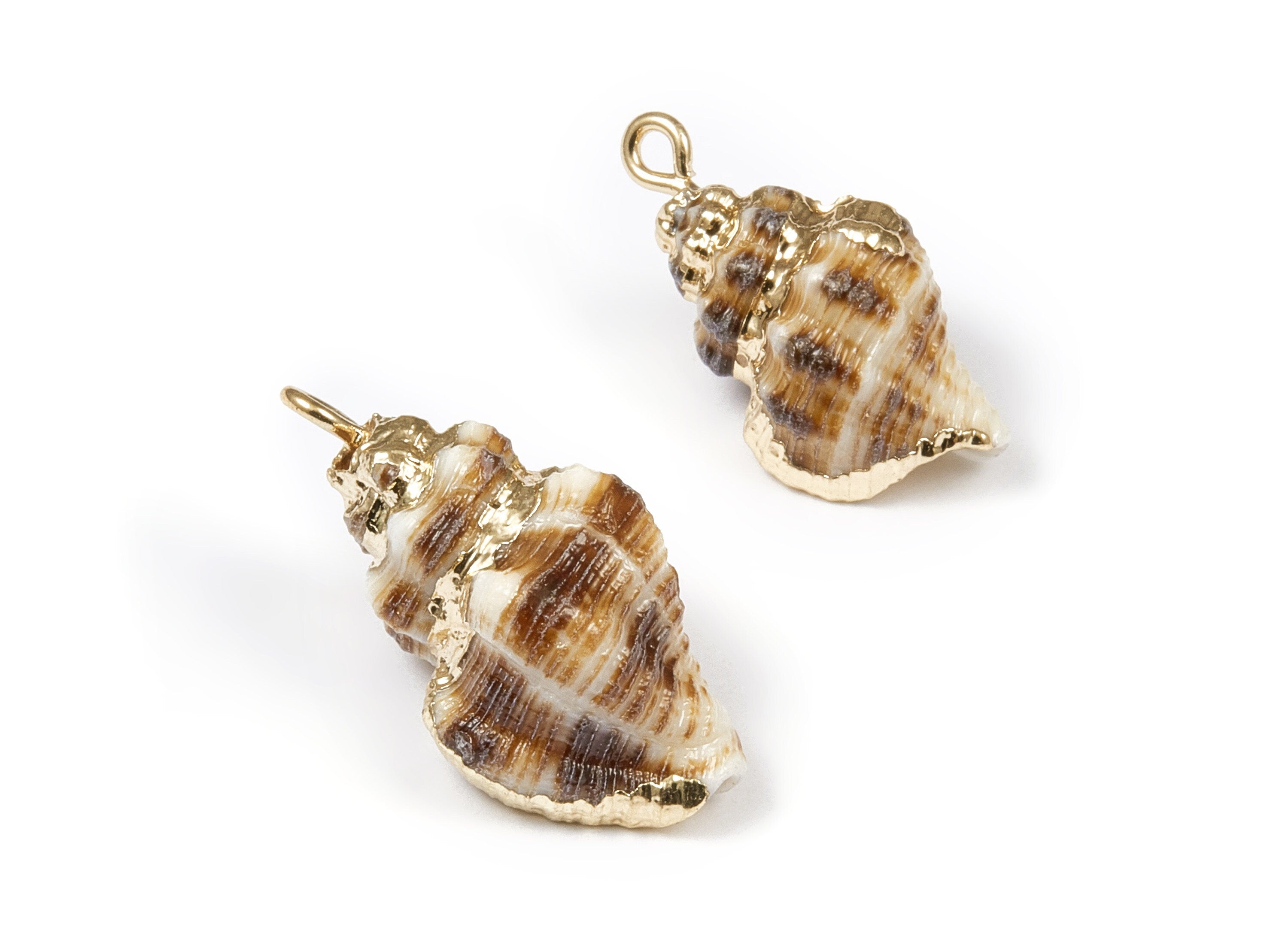 Whelk Seashell Charms - Natural Seashell Earrings and Pendant - Gold Tone Plated Earrings - 1 Hole - 24.22x14.75x11.4mm - SF1037 - DOMEDBAZAAR