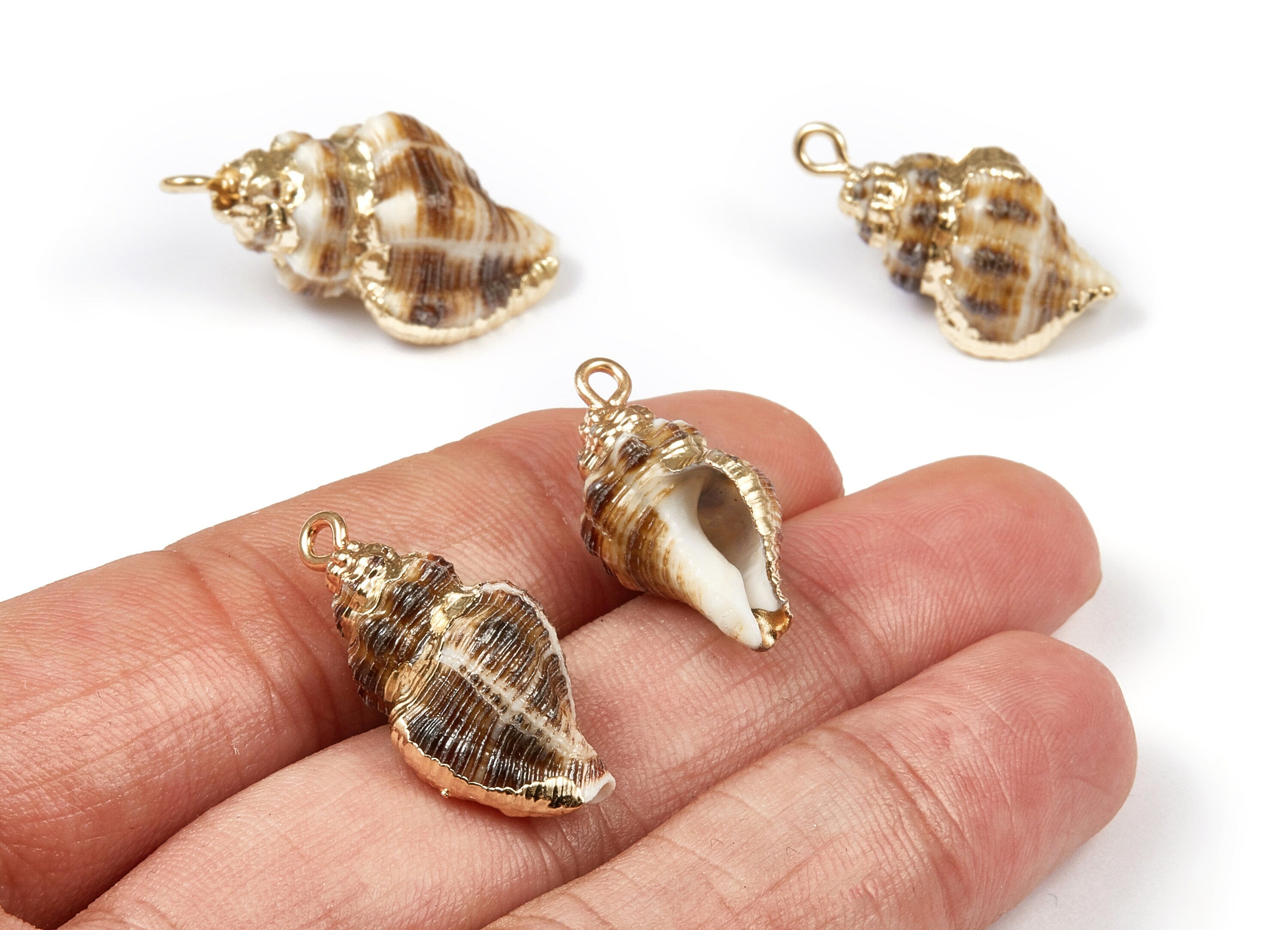 Whelk Seashell Charms - Natural Seashell Earrings and Pendant - Gold Tone Plated Earrings - 1 Hole - 24.22x14.75x11.4mm - SF1037 - DOMEDBAZAAR