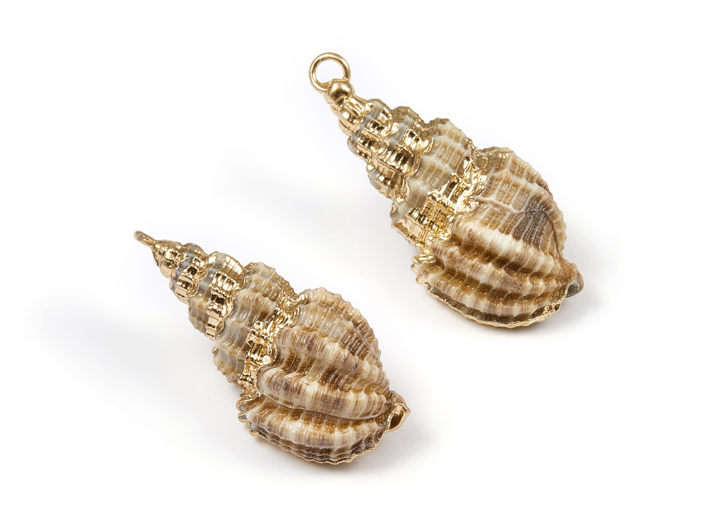 Whelk Seashell Charms - Natural Seashell Earrings and Pendant - Gold Tone Plated Earrings - 1 Hole - 30.38x15.38x12.26mm - SF1043 - DOMEDBAZAAR