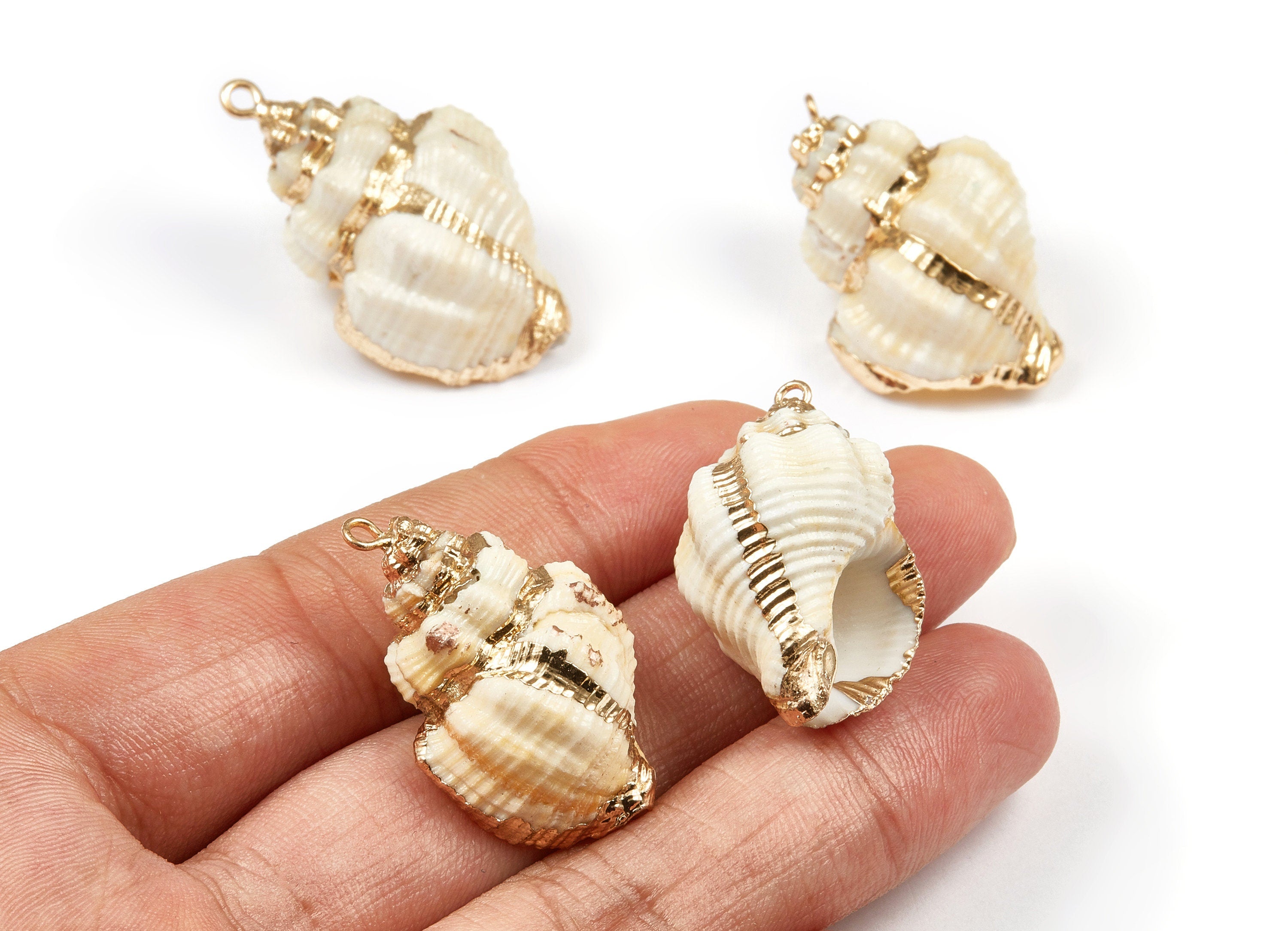 Whelk Seashell Charms - Natural Seashell Earrings and Pendant - Gold Tone Plated Earrings - 1 Hole - 38.56x23.53x22.22mm - SF1035 - DOMEDBAZAAR