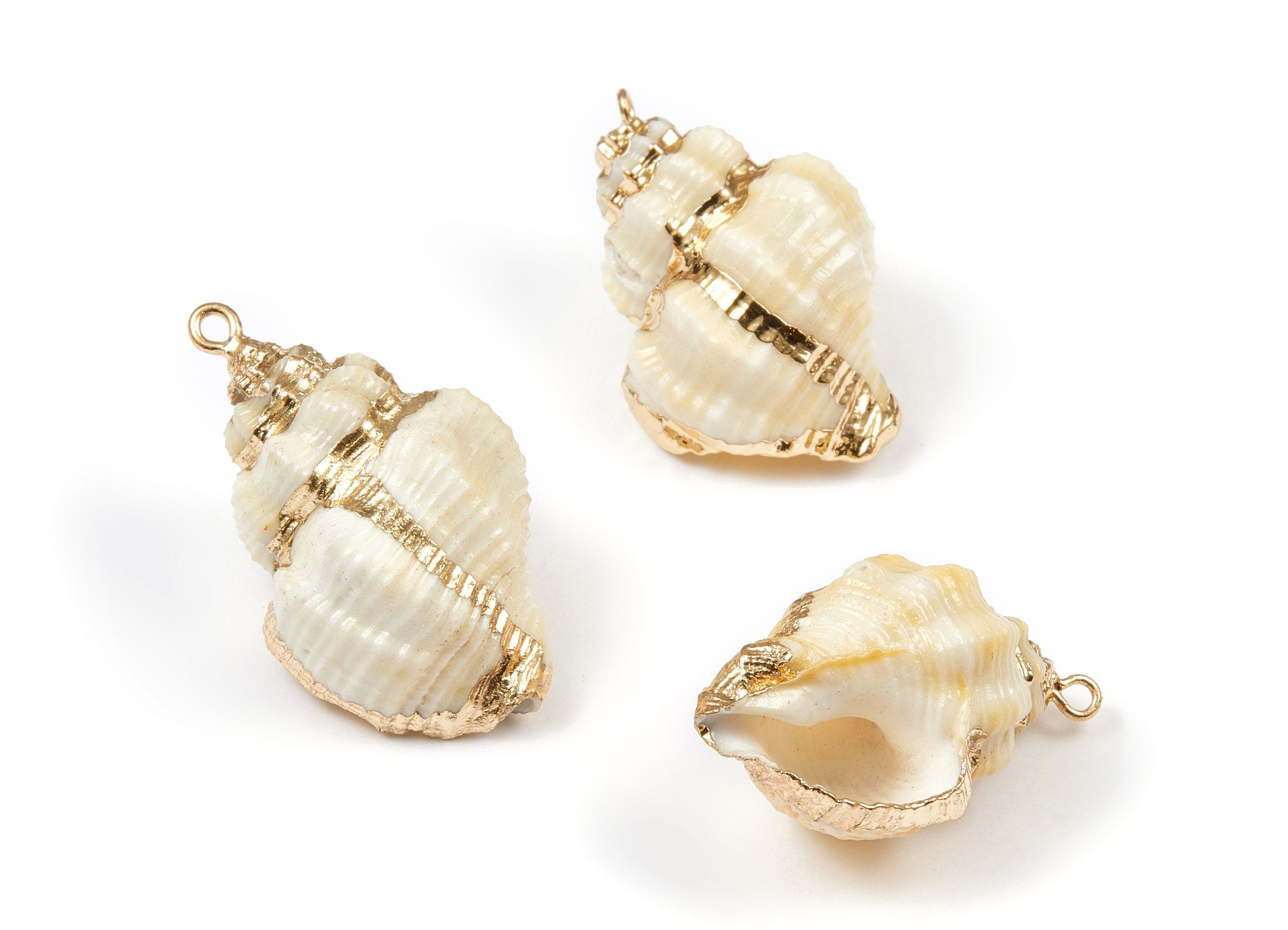 Whelk Seashell Charms - Natural Seashell Earrings and Pendant - Gold Tone Plated Earrings - 1 Hole - 38.56x23.53x22.22mm - SF1035 - DOMEDBAZAAR