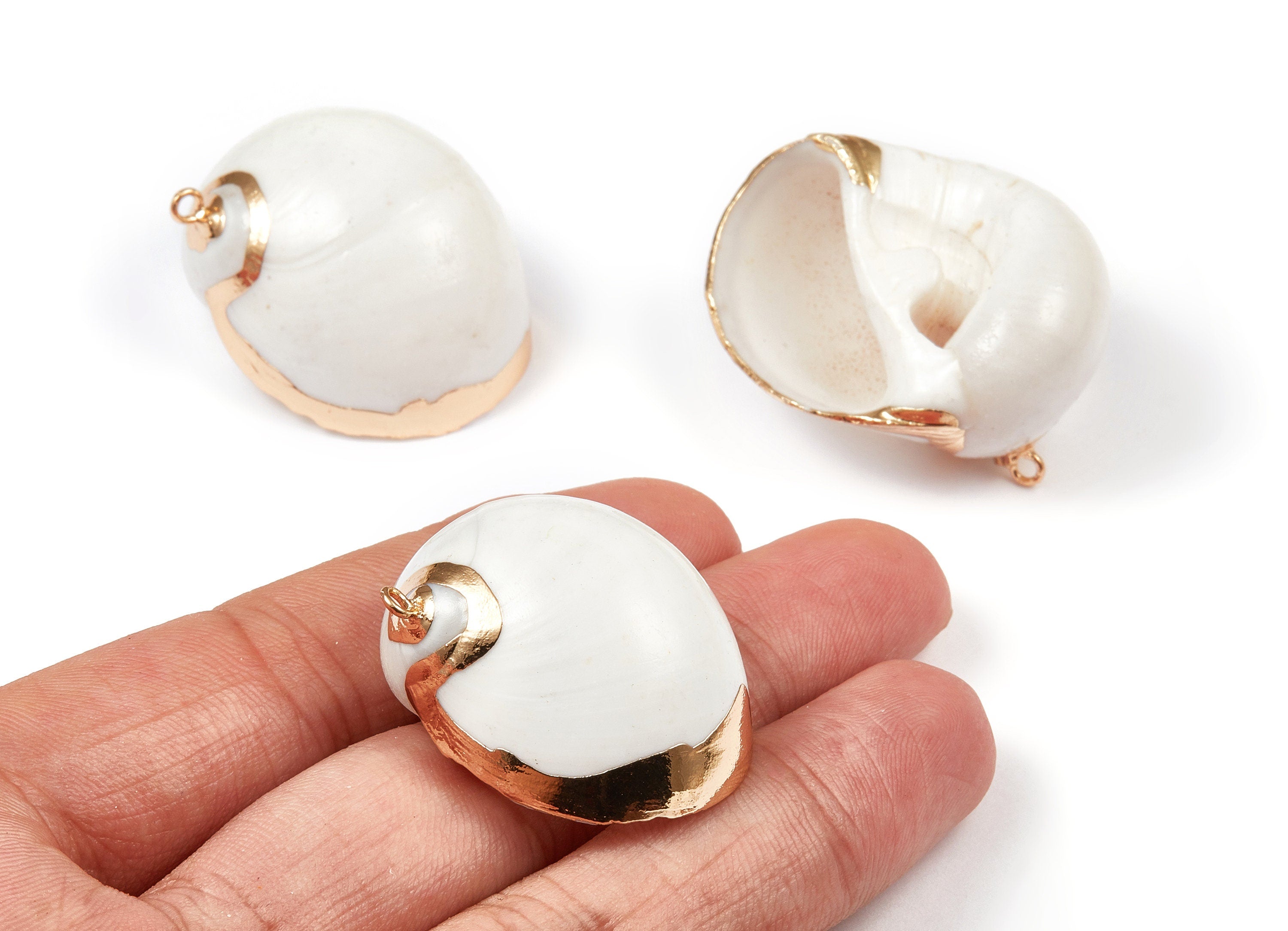 Whelk Seashell Charms - Natural Seashell Earrings and Pendant - Gold Tone Plated Earrings - 1 Hole - 32.69x27.9x17.3mm - SF1033 - DOMEDBAZAAR