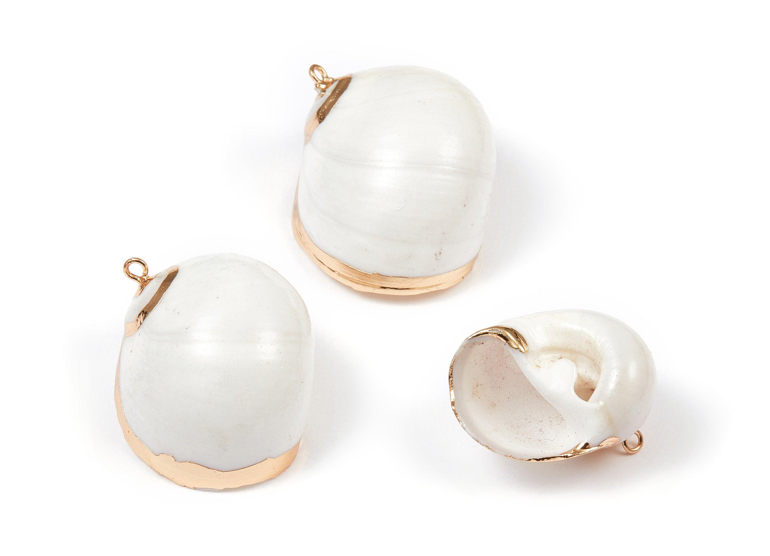 Whelk Seashell Charms - Natural Seashell Earrings and Pendant - Gold Tone Plated Earrings - 1 Hole - 32.69x27.9x17.3mm - SF1033 - DOMEDBAZAAR