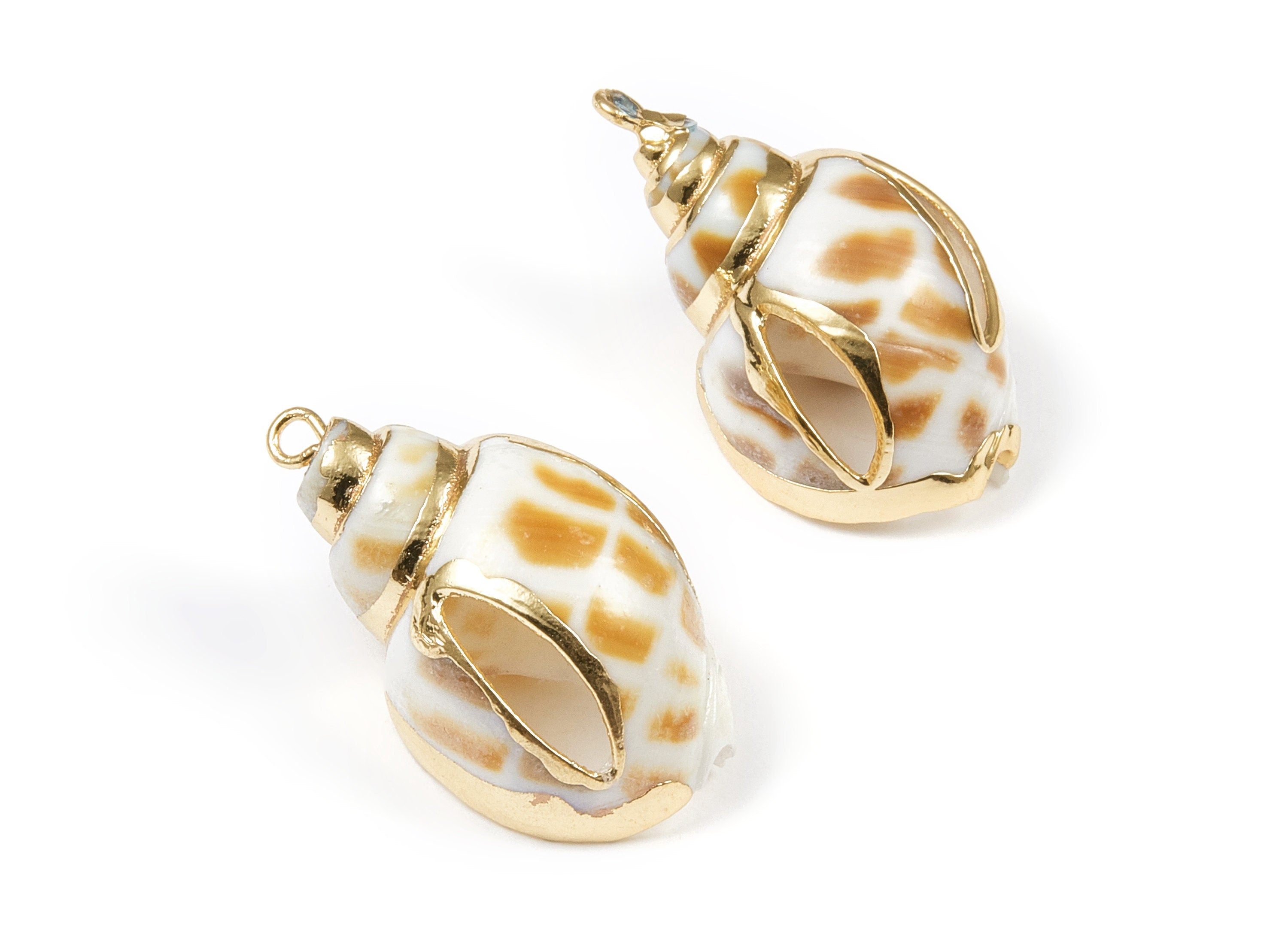Open Whelk Charms - Whelk Seashell Earrings - Cut Open Seashell Pendant - Natural Seashell Earrings - 1 Hole - 30.9x18.67x14.88mm - SF1042 - DOMEDBAZAAR