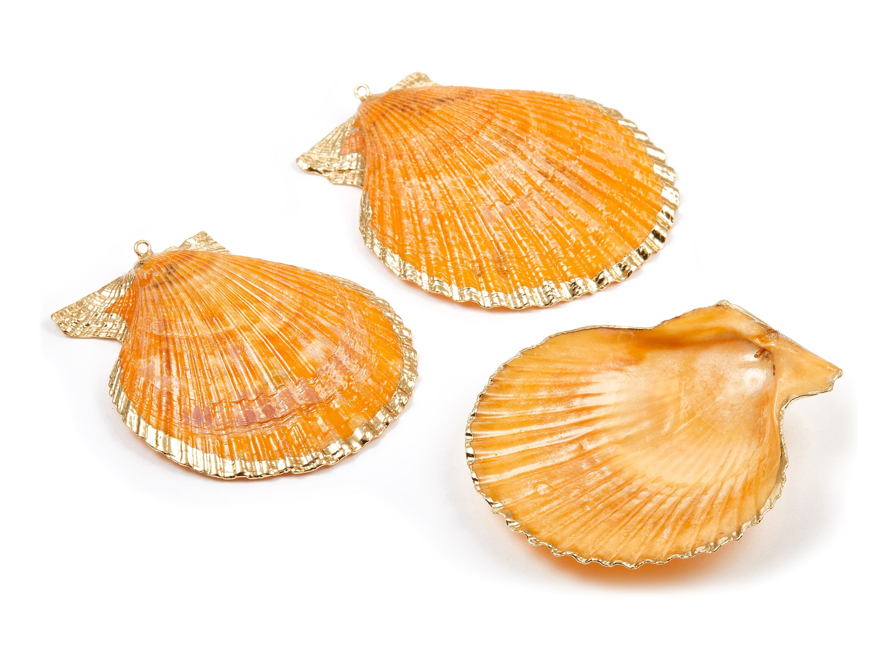 Mussel Shell Charms - Seashell Pendant - Gold Tone Plated Earrings - 1 Hole - 50x45.2x7mm - SF1009A - DOMEDBAZAAR