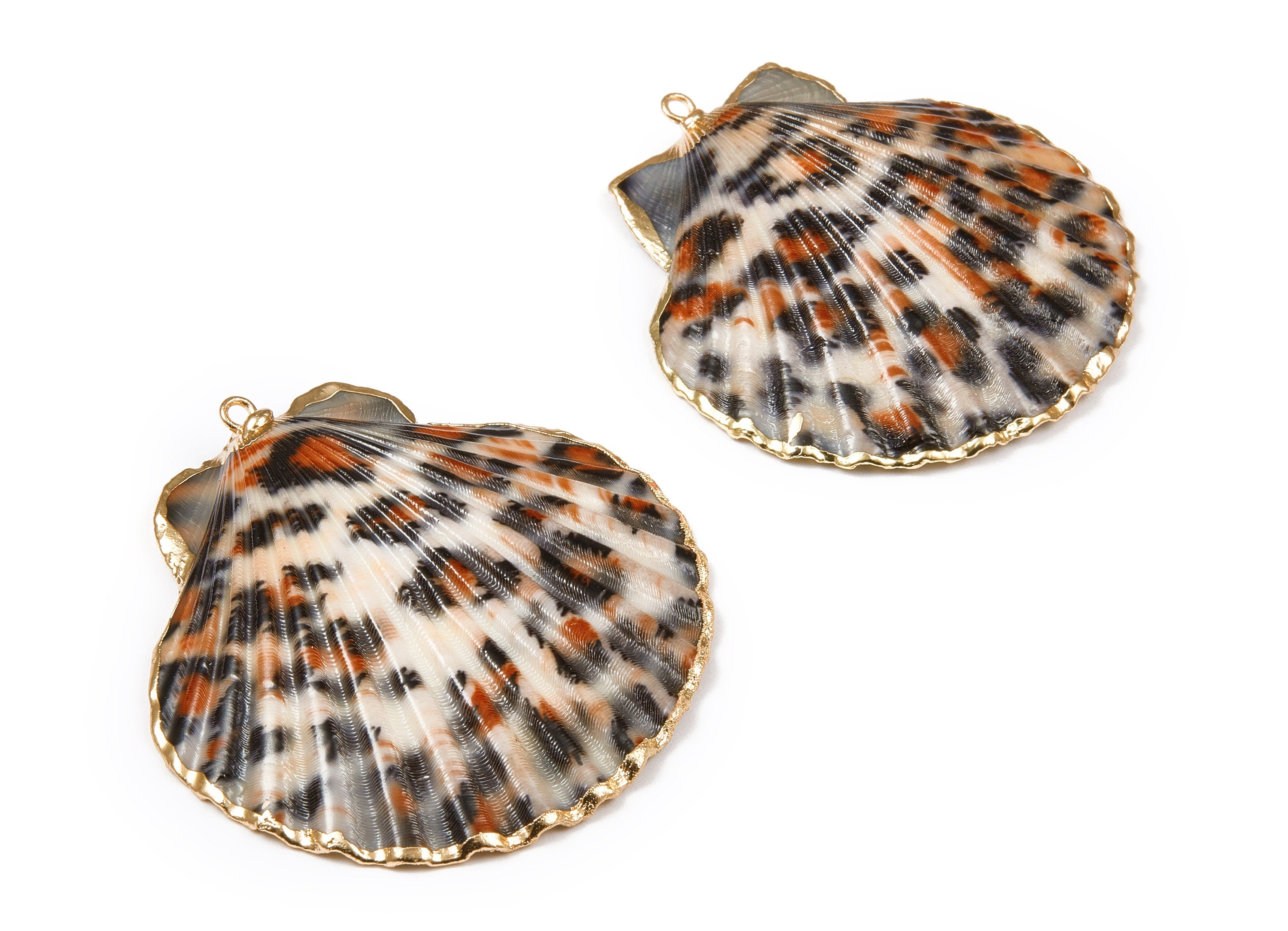 Mussel Shell Charms - Seashell Earrings and Pendant - Gold Tone Plated Earrings - 1 Hole - 50.32x48.7x2.15mm - SF1011B - DOMEDBAZAAR