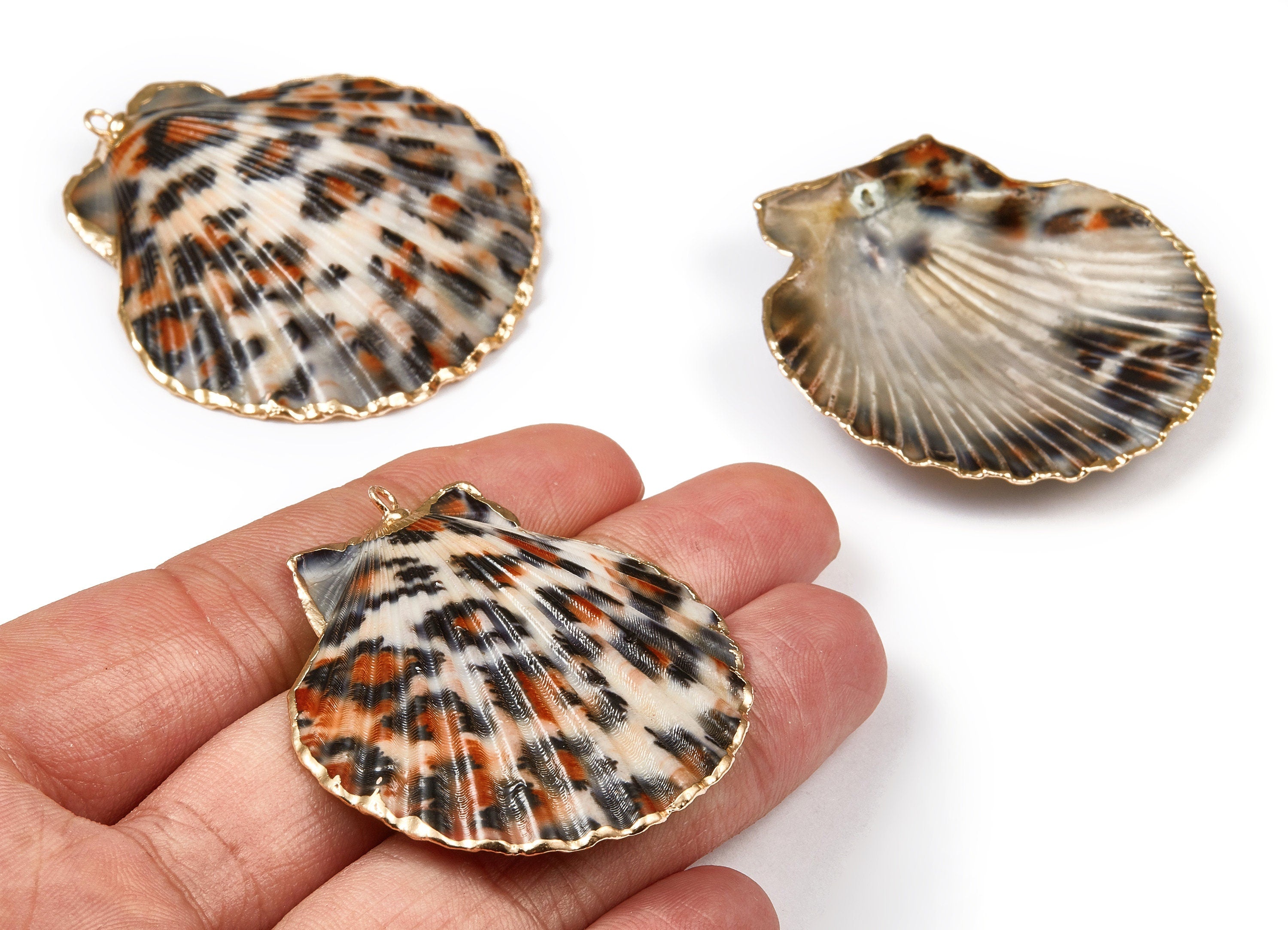 Mussel Shell Charms - Seashell Earrings and Pendant - Gold Tone Plated Earrings - 1 Hole - 50.32x48.7x2.15mm - SF1011B - DOMEDBAZAAR