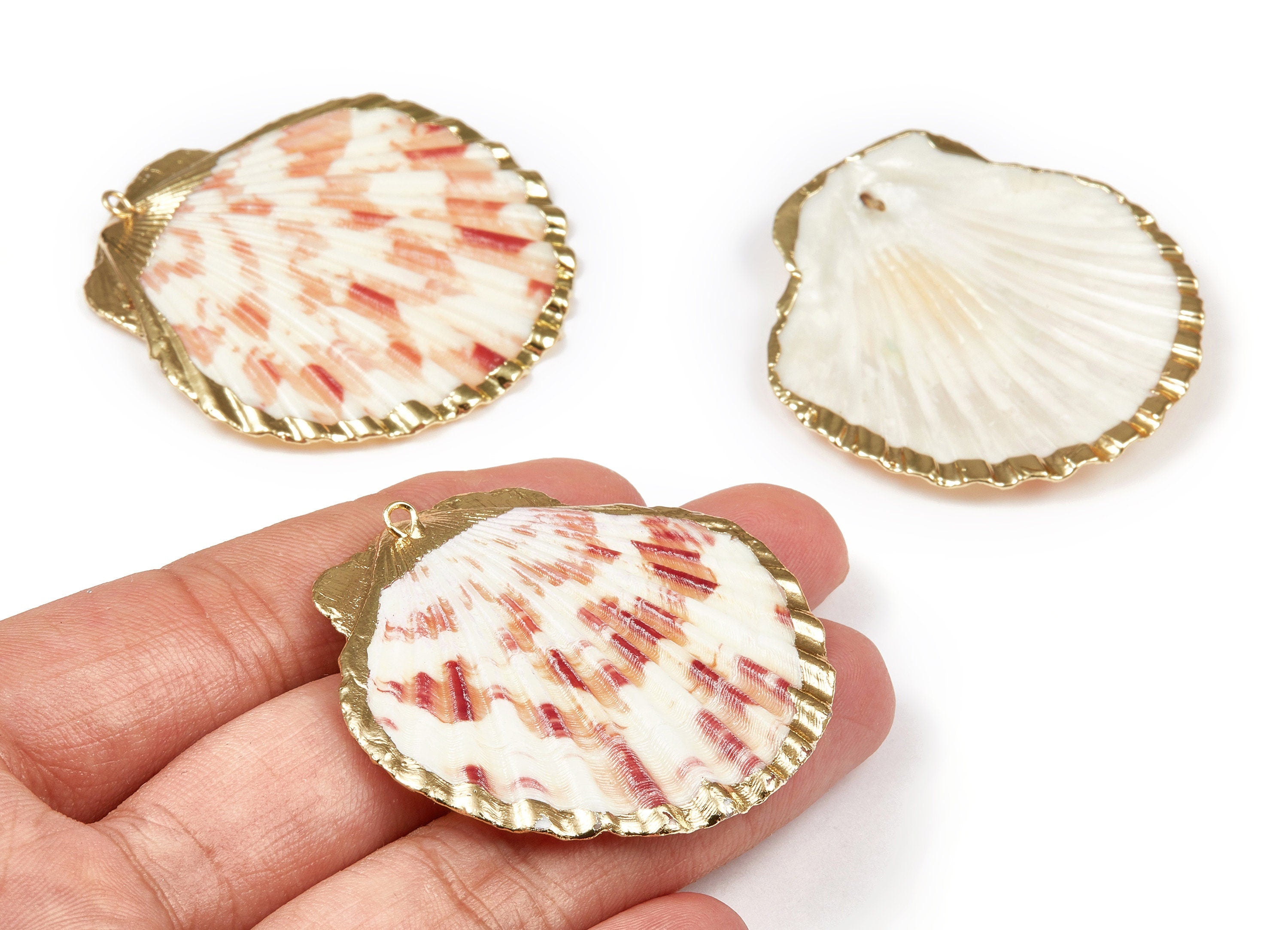 Mussel Shell Charms - Seashell Earrings and Pendant - Gold Tone Plated Earrings - 1 Hole - 48.01x47.34x1.47mm - SF1088 - DOMEDBAZAAR