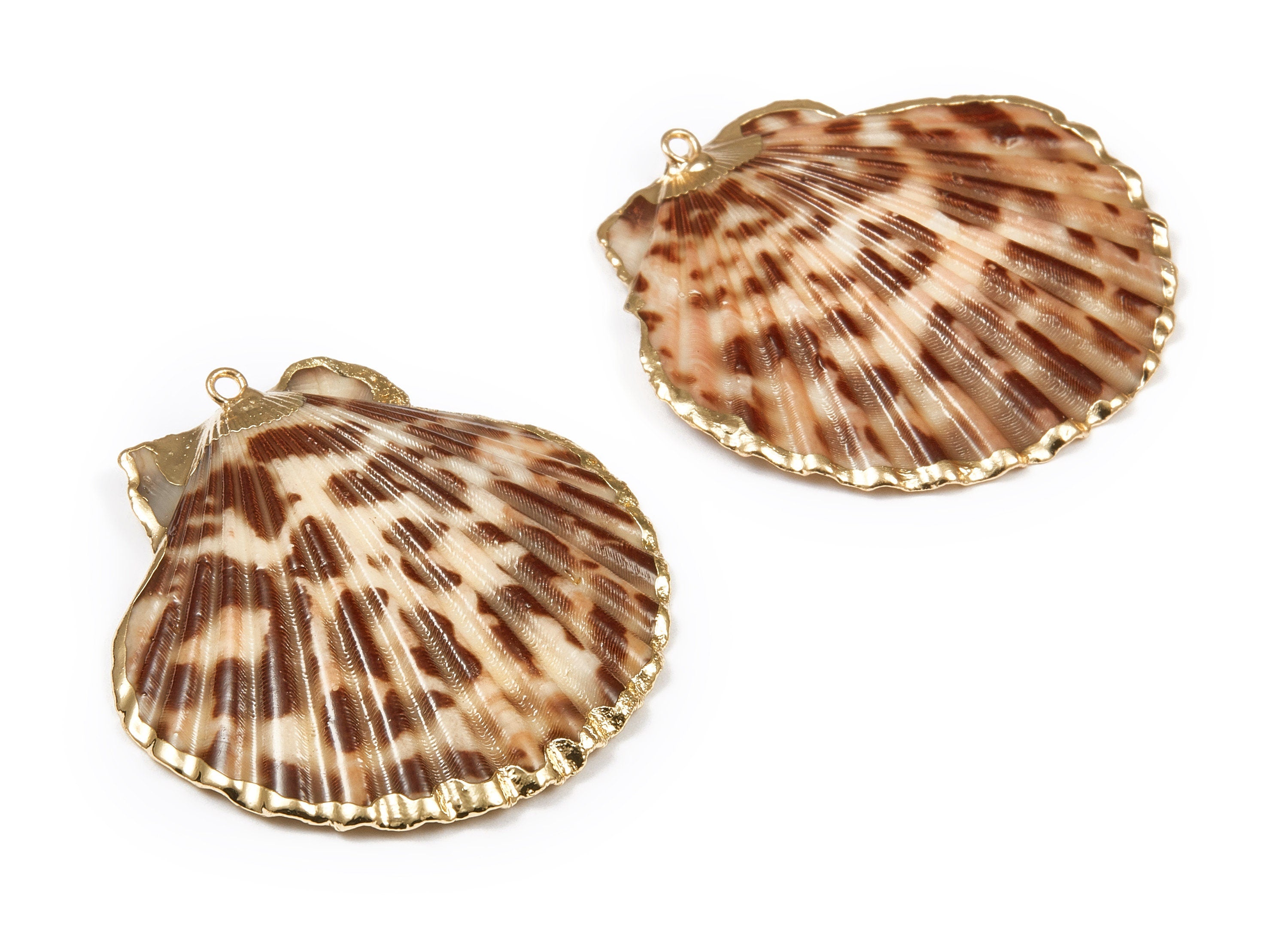 Mussel Shell Charms - Seashell Earrings and Pendant - Gold Tone Plated Earrings - 1 Hole - 50.32x48.7x2.15mm - SF1011C - DOMEDBAZAAR