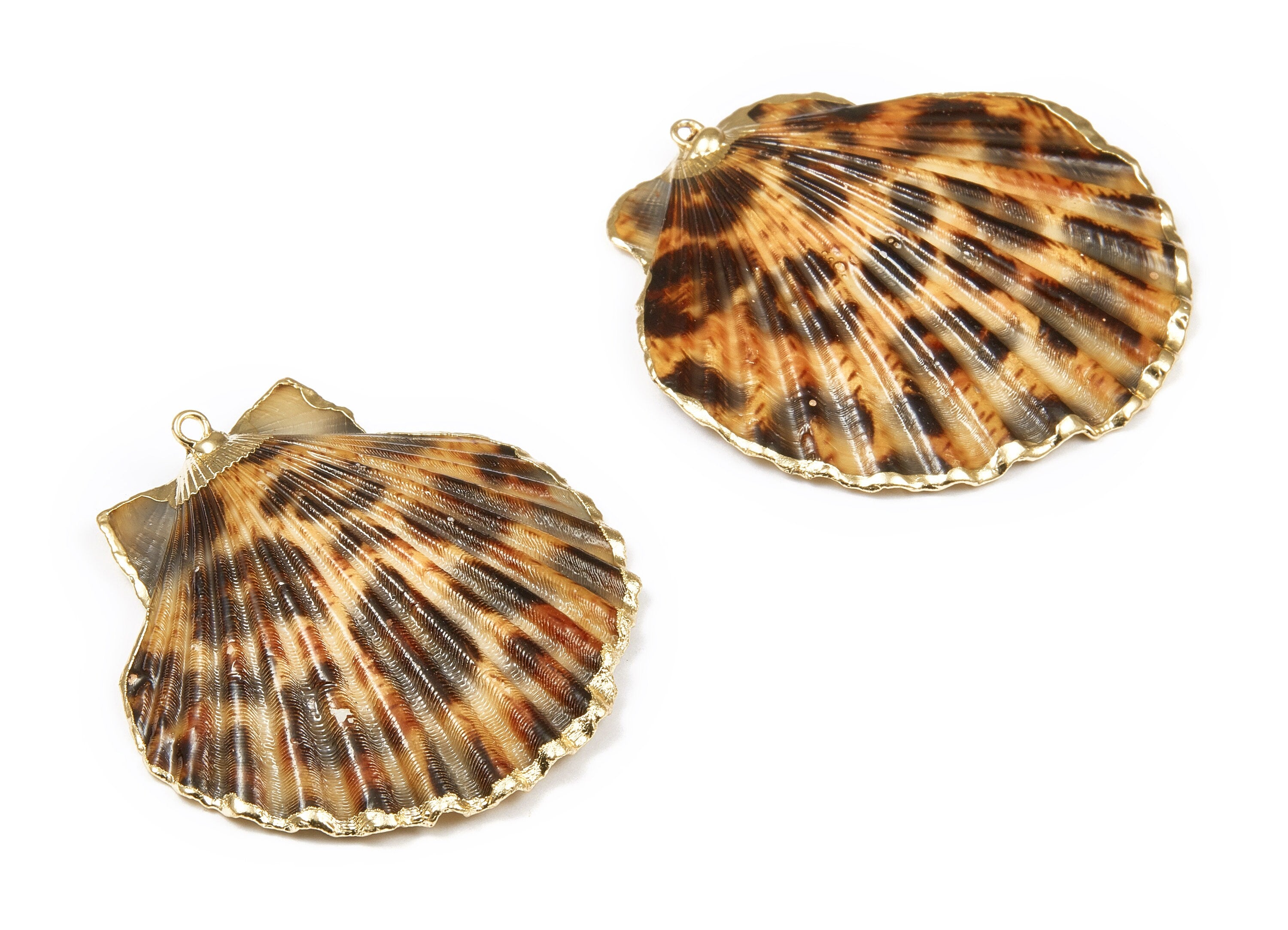 Mussel Shell Charms - Seashell Earrings and Pendant - Gold Tone Plated Earrings - 1 Hole - 50.32x48.7x2.15mm - SF1011D - DOMEDBAZAAR