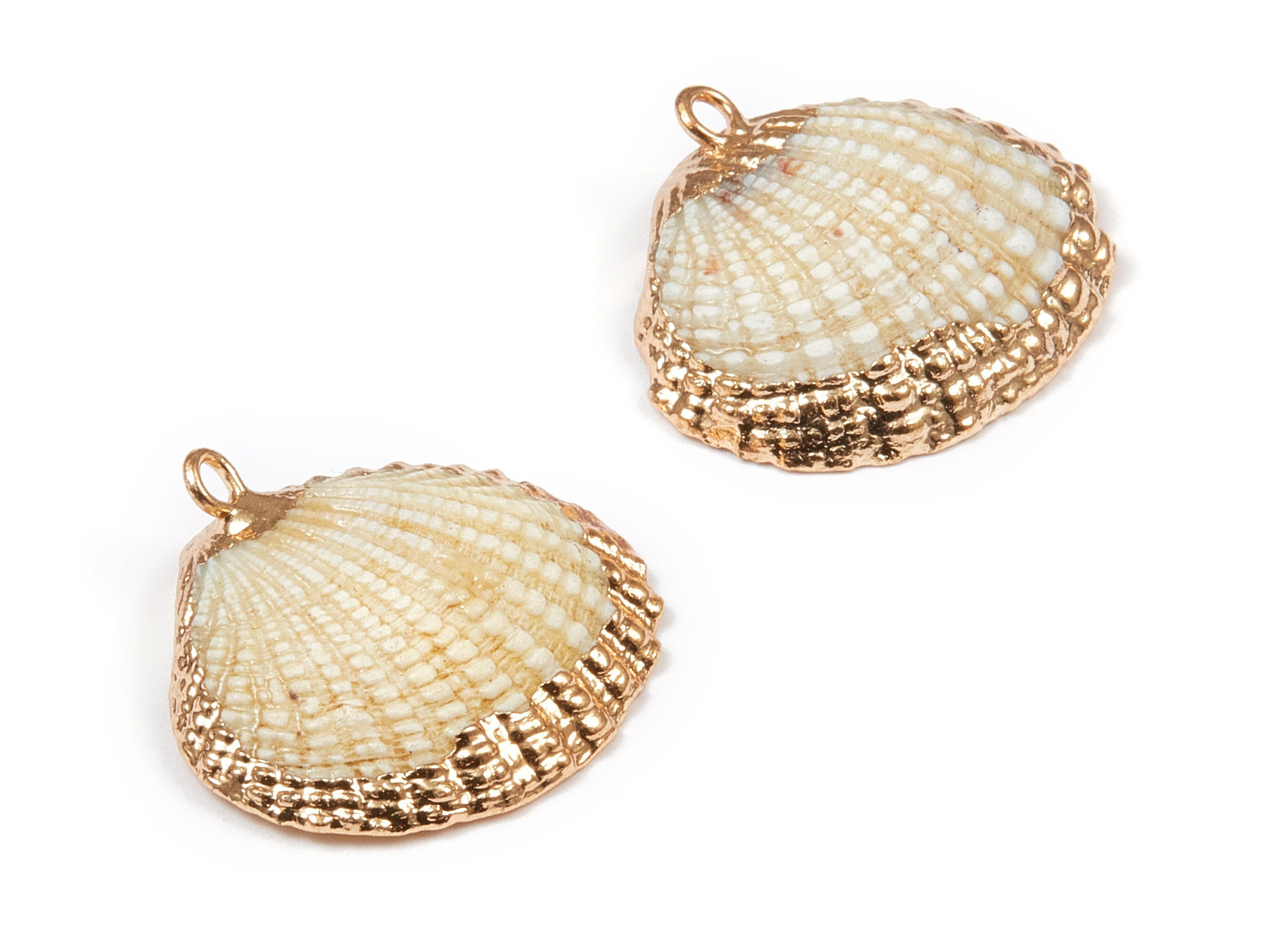 Mussel Shell Charms - Seashell Earrings and Pendant - Gold Tone Plated Earrings - 1 Hole - 22.84x21.54x2.65mm - SF1020 - DOMEDBAZAAR