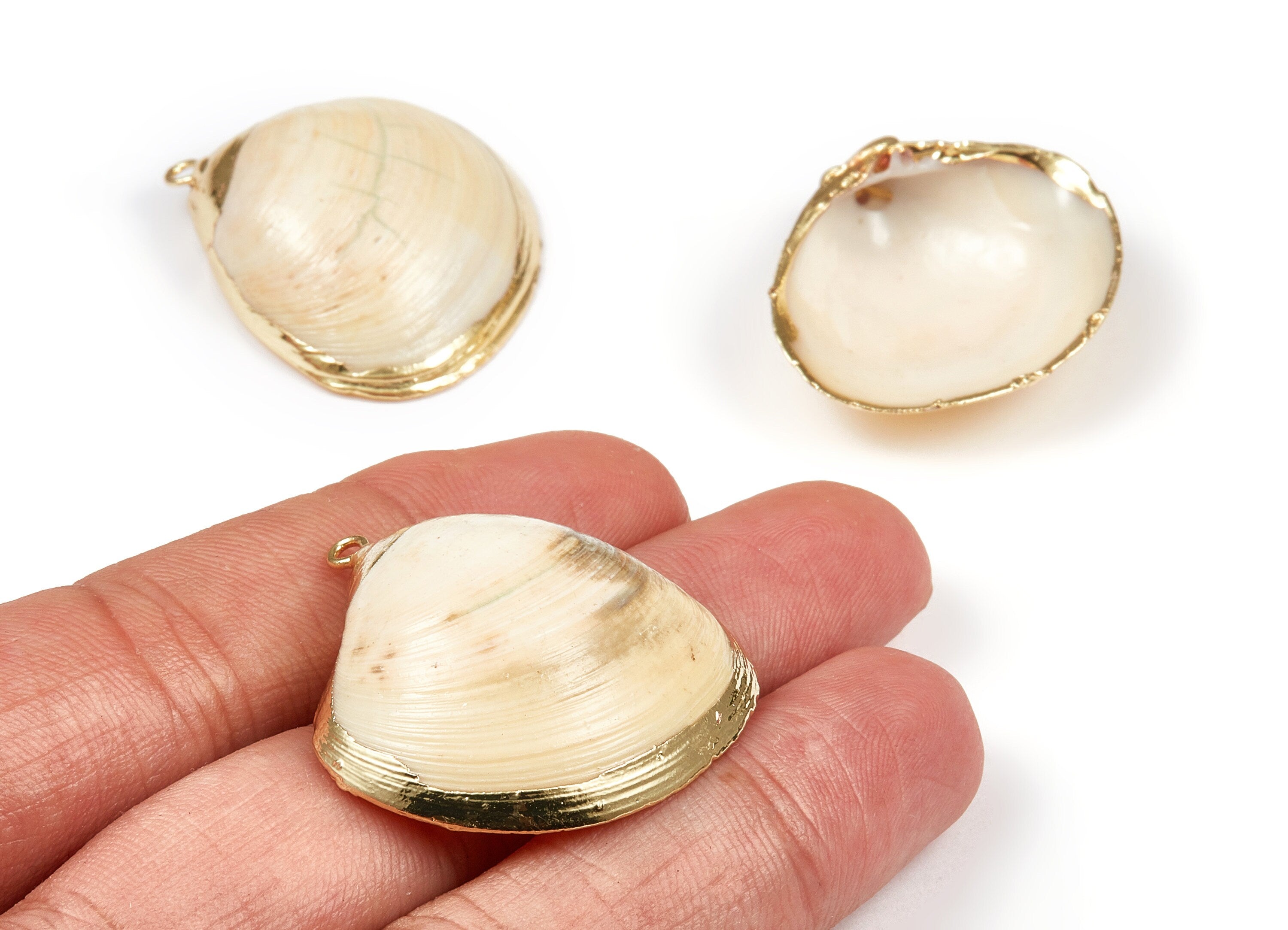Mussel Shell Charms - Seashell Earrings and Pendant - Gold Tone Plated Earrings - 1 Hole - 33.96x31.88x1.53mm - SF1084 - DOMEDBAZAAR
