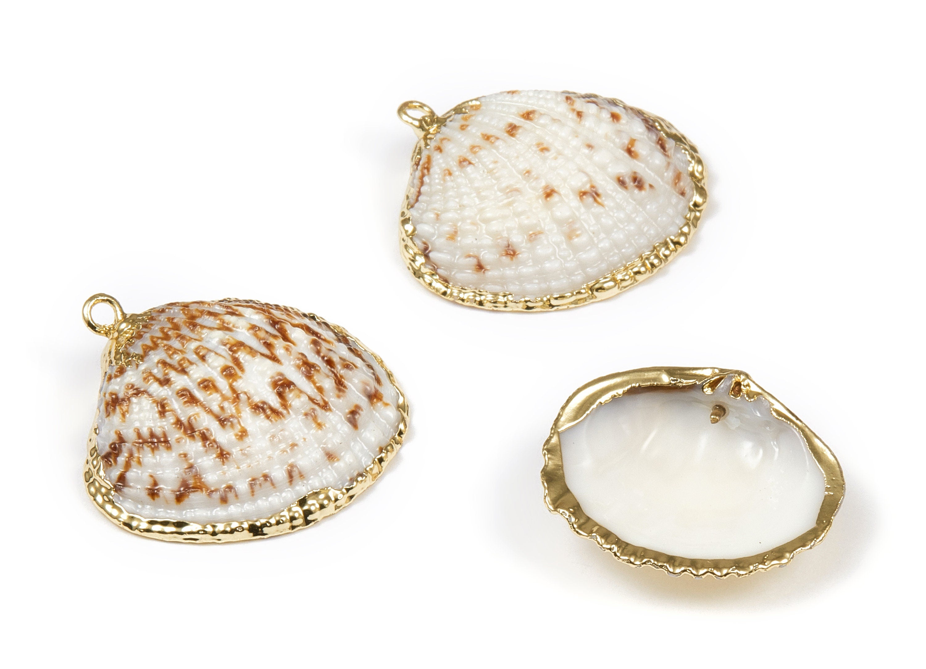 Mussel Shell Charms - Seashell Earrings and Pendant - Gold Tone Plated Earrings - 1 Hole - 26.52x25.42x1.873mm - SF1085 - DOMEDBAZAAR