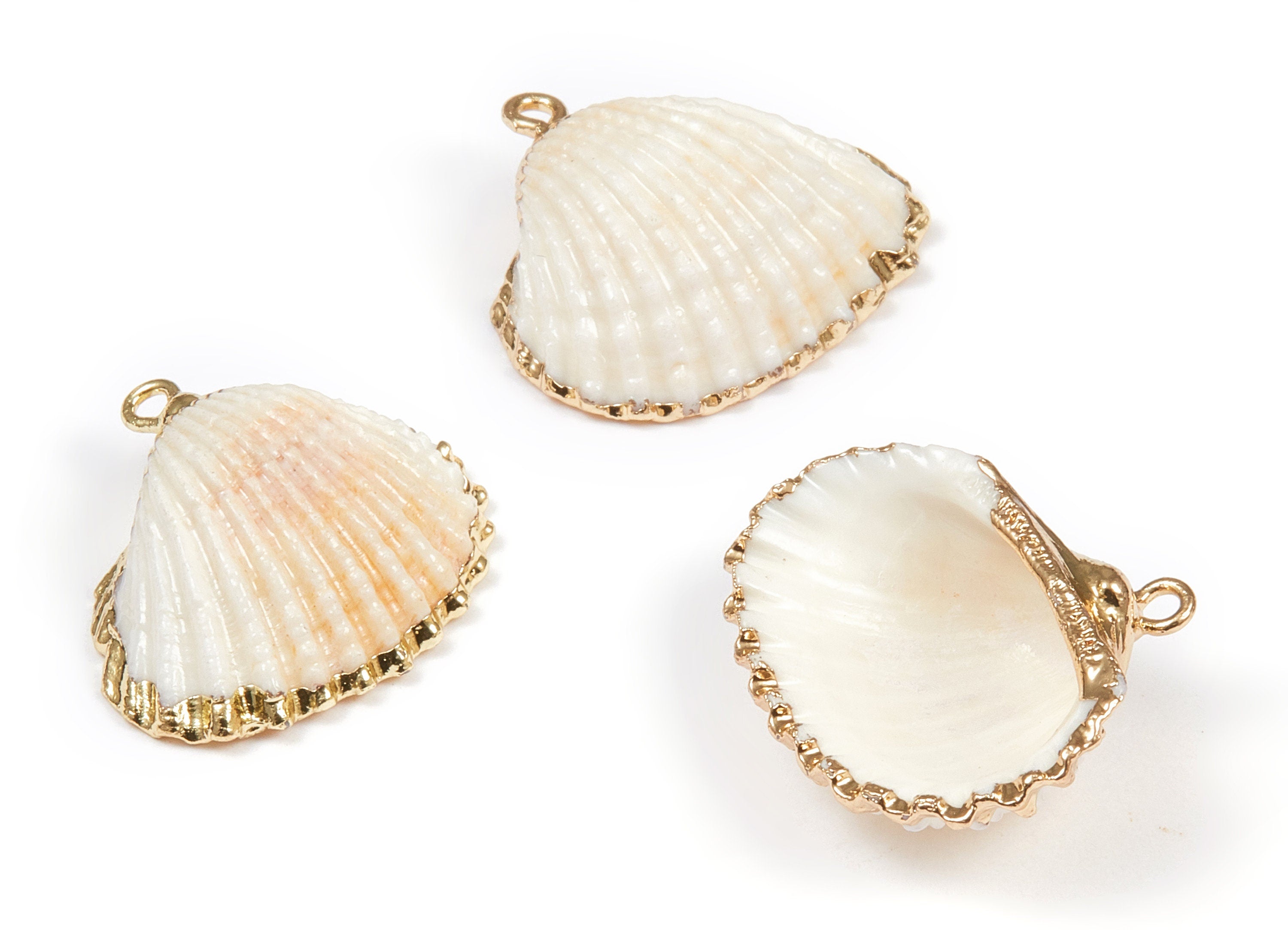 Mussel Shell Charms - Seashell Earrings and Pendant - Gold Tone Plated Earrings - 1 Hole -27.35x25.63xmm - SF1103 - DOMEDBAZAAR