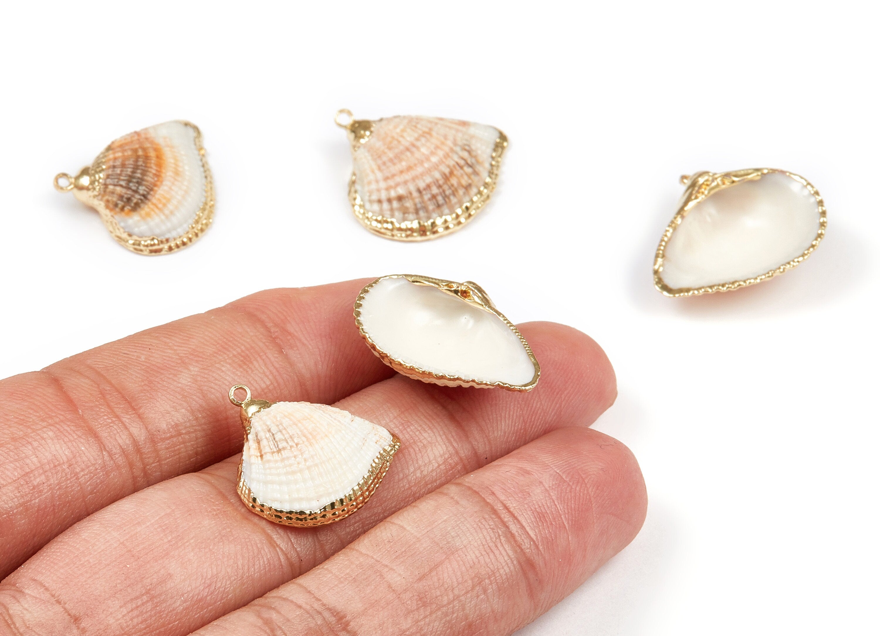 Mussel Shell Charms - Seashell Earrings and Pendant - Gold Tone Plated Earrings - 1 Hole - 19.67x19.11xmm - SF1102 - DOMEDBAZAAR
