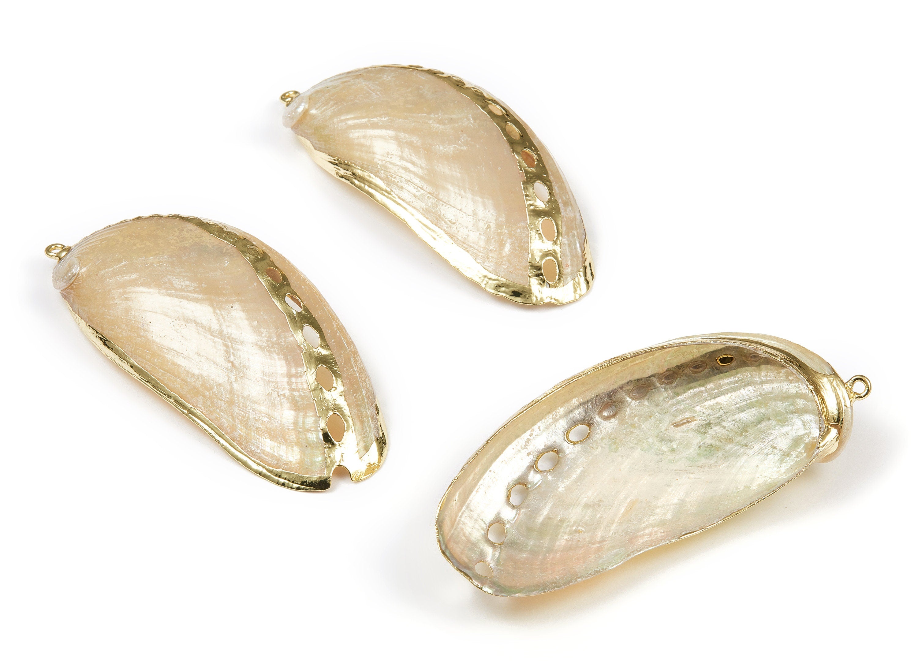Mussel Shell Charms - Seashell Pendant - Gold Tone Plated Earrings - Natural Seashell - 1 Hole - 76.24 x32.92x0.78mm - SF1097 - DOMEDBAZAAR