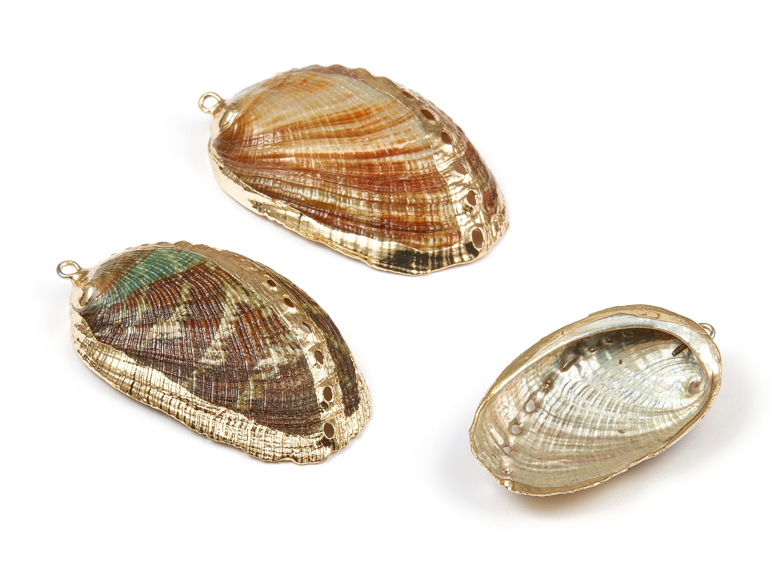 Mussel Shell Charms - Seashell Earrings and Pendant - Gold Tone Plated Earrings - 1 Hole - 49.17x28.5x7.07mm - SF1036 - DOMEDBAZAAR