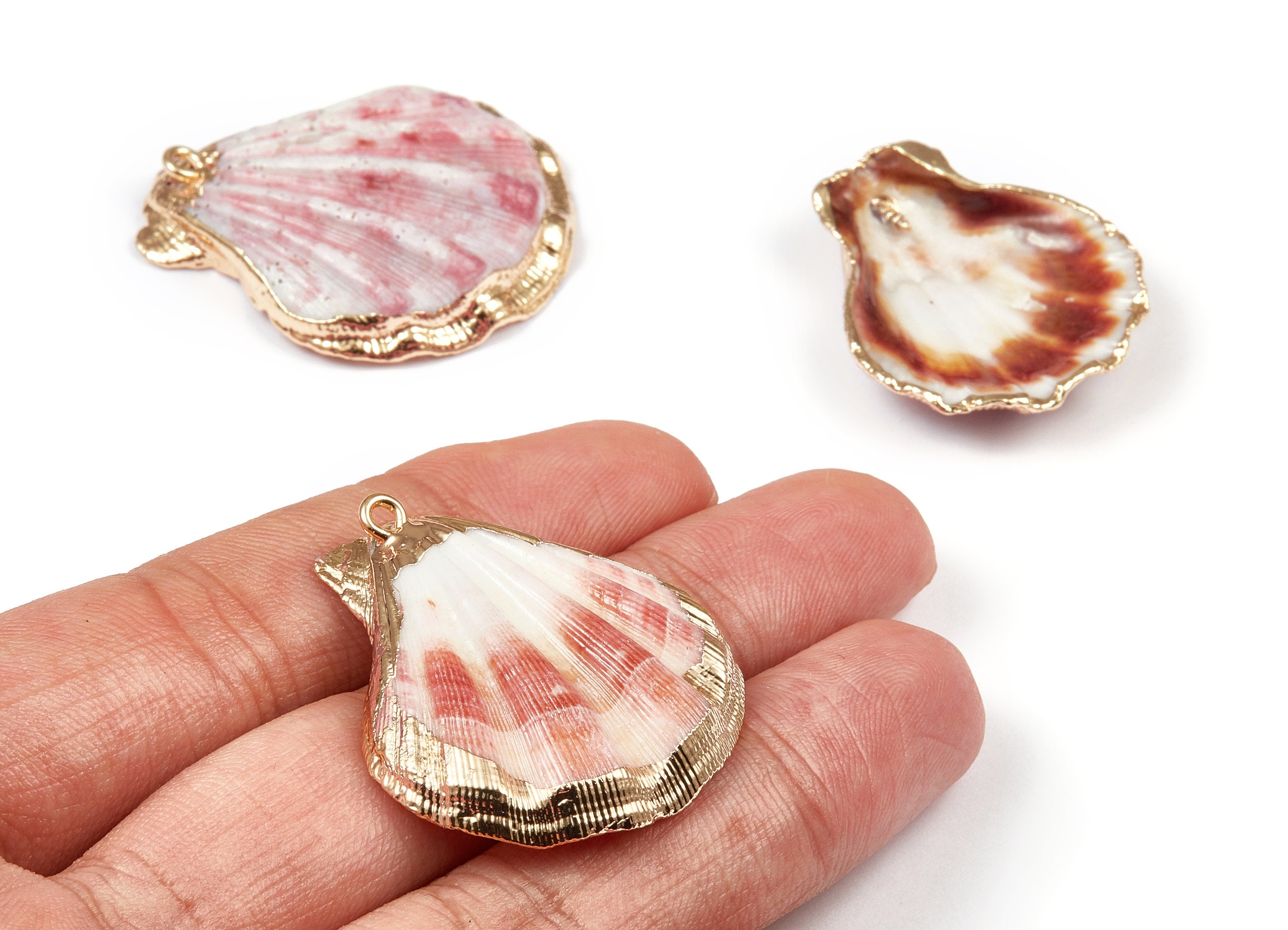 Mussel Shell Charms - Seashell Earrings and Pendant - Gold Tone Plated Earrings - 1 Hole - 37.97x33.54x2.81mm - SF1040 - DOMEDBAZAAR