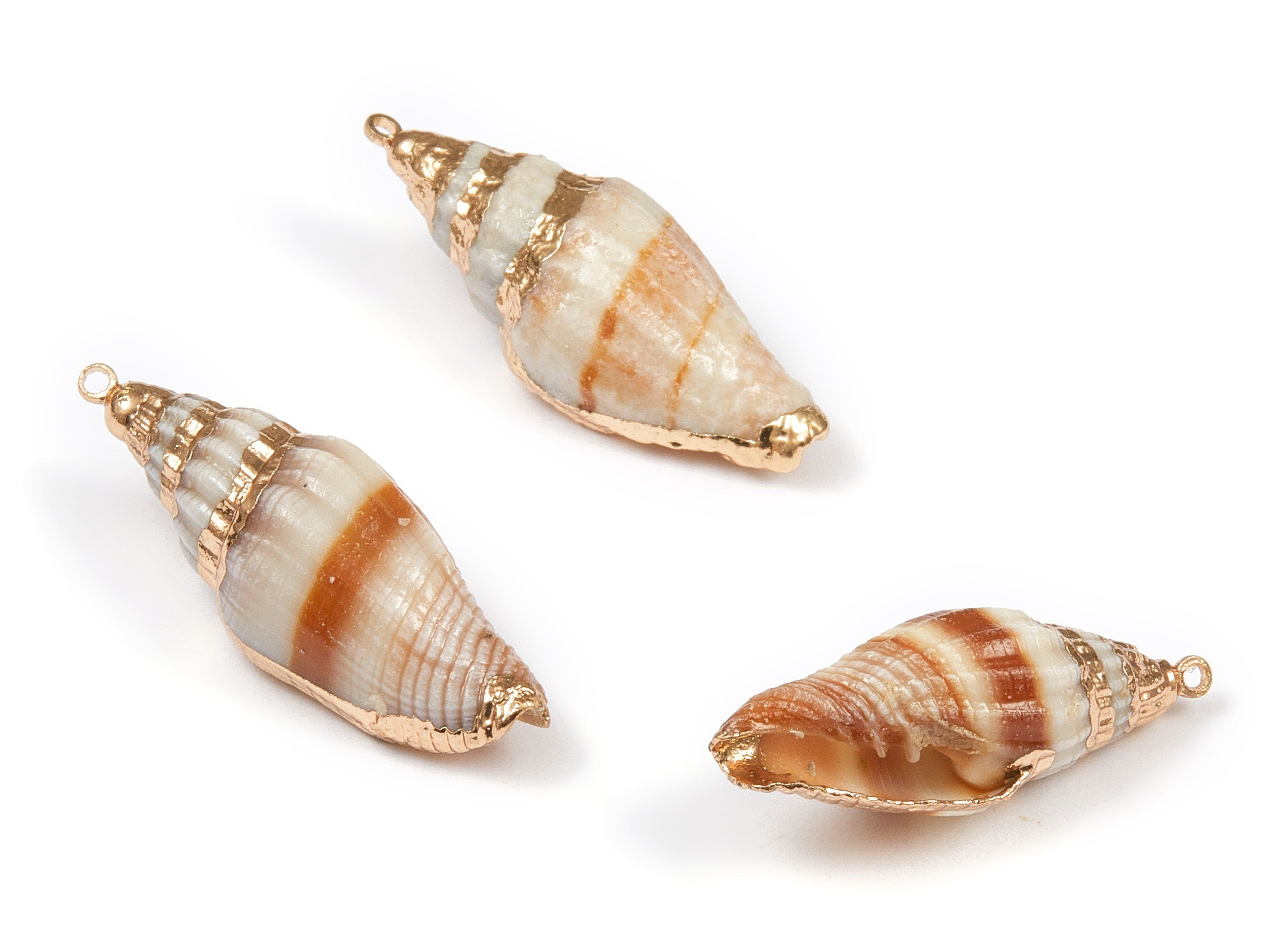 Whelk Seashell Charms - Seashell Earrings and Pendant - Gold Tone Plated Earrings - Natural Seashell - 1 Hole - 26.92x8.52 - SF1105 - DOMEDBAZAAR