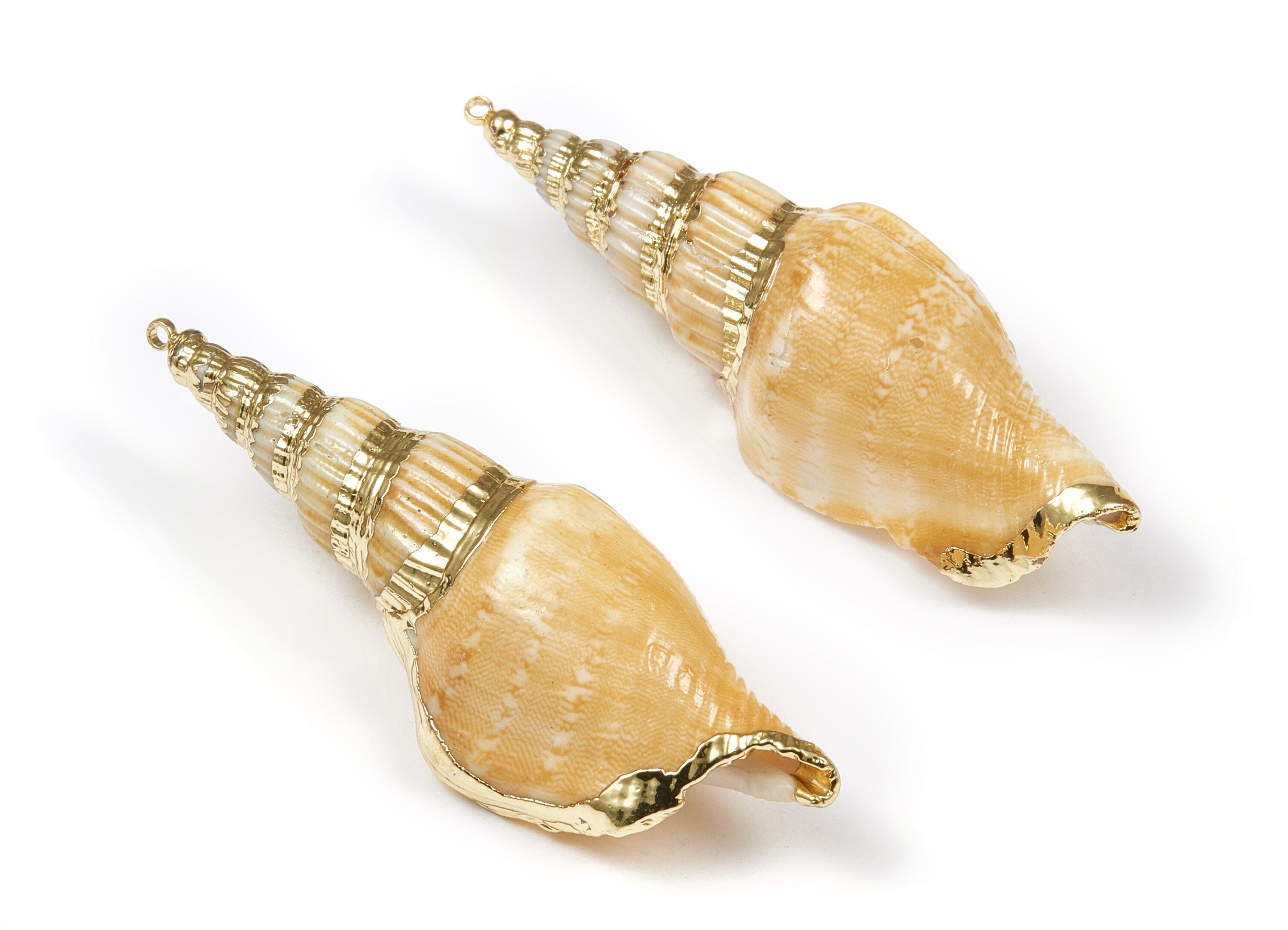 Whelk Seashell Charms - Seashell Earrings and Pendant - Gold Tone Plated Earrings - Natural Seashell - 1 Hole - 58.39x24.42 - SF1095 - DOMEDBAZAAR
