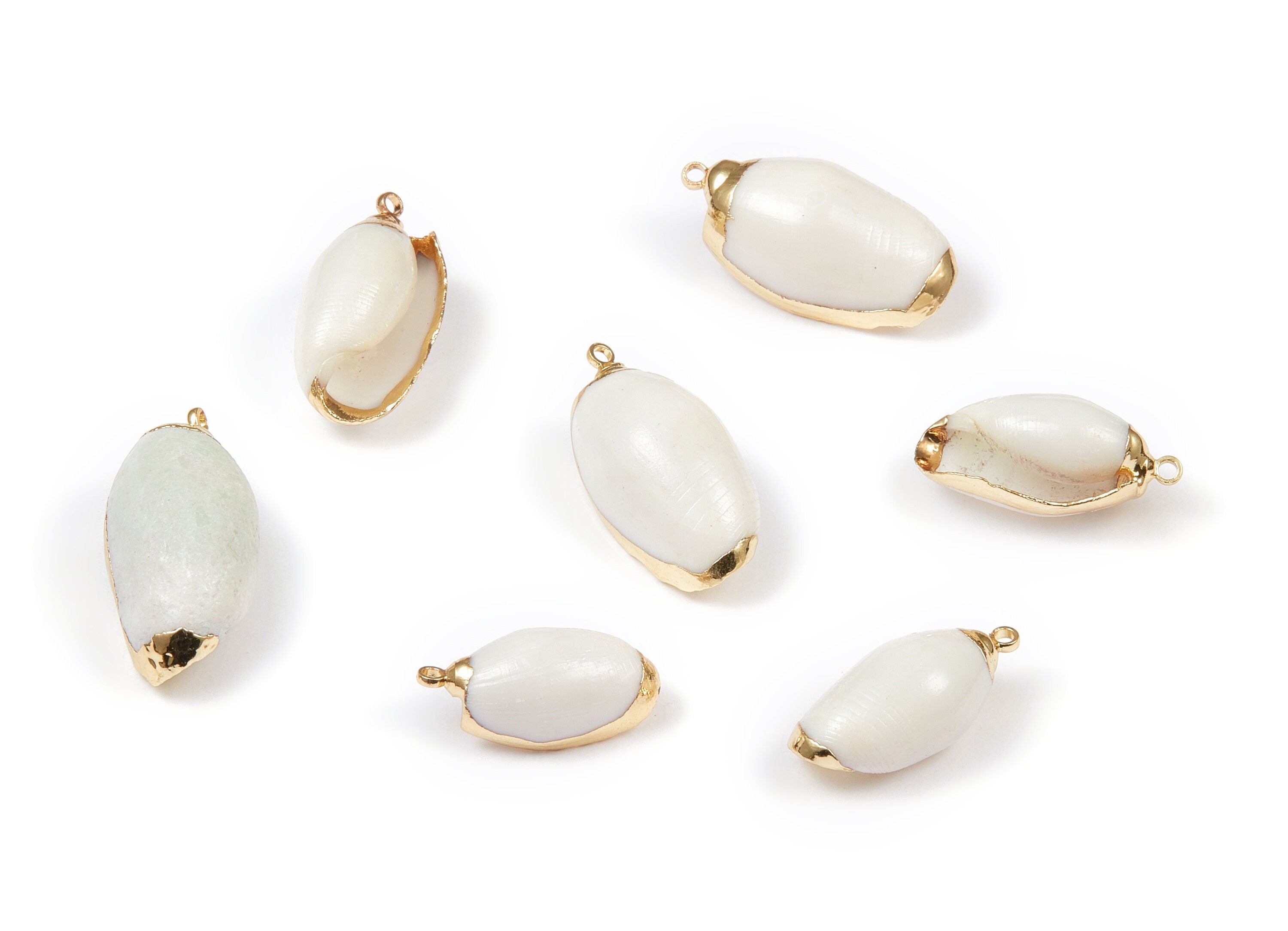 Whelk Seashell Charms - Whelk Shell Pendant - Natural Seashell Earrings - 1 Hole - 30.11x12.78x10.44mm - SF1061 - DOMEDBAZAAR