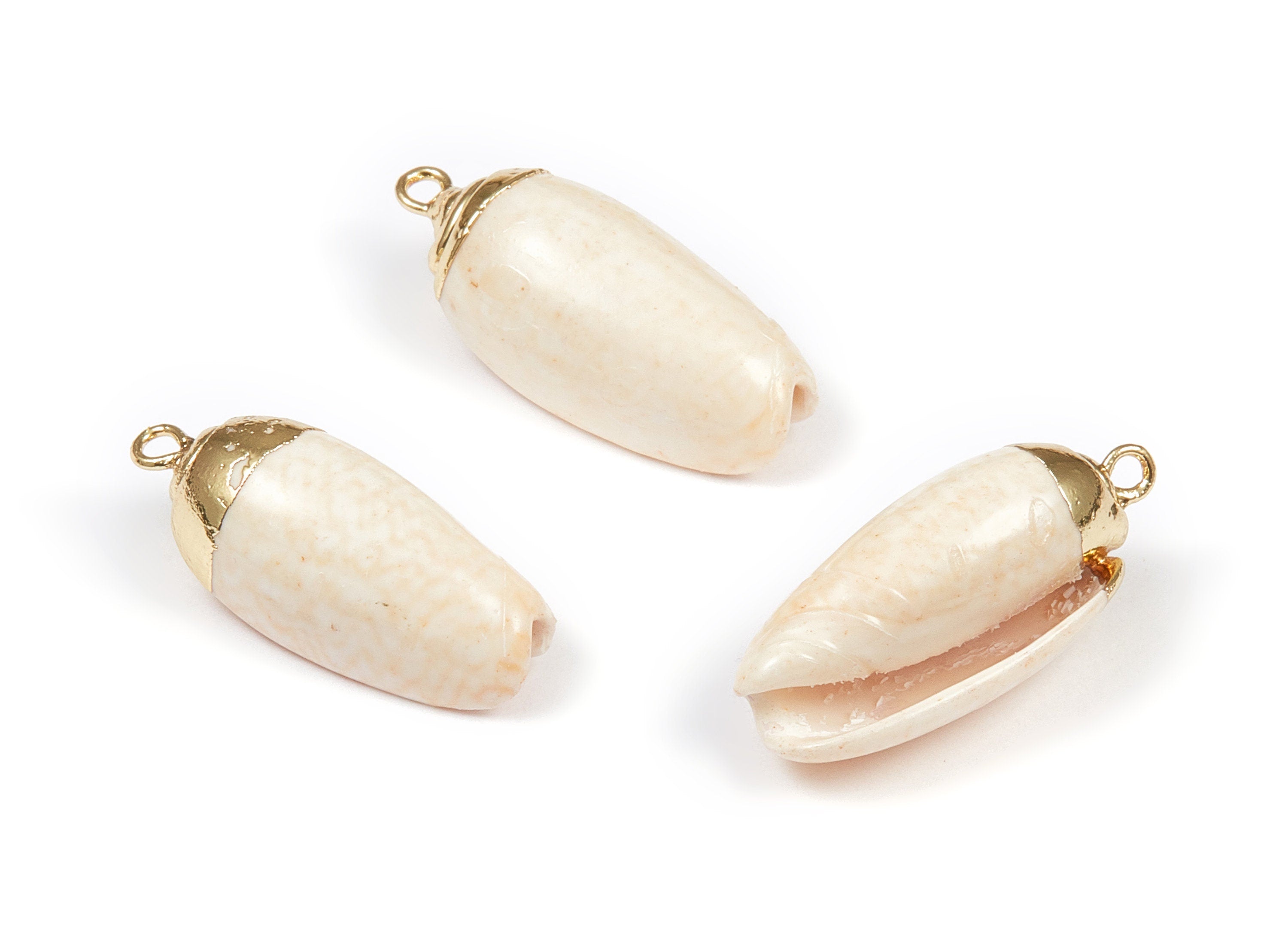 Whelk Seashell Charms - Whelk Shell Pendant - Natural Seashell Earrings - 1 Hole - 22.88x10.87x8.92mm - SF1062 - DOMEDBAZAAR