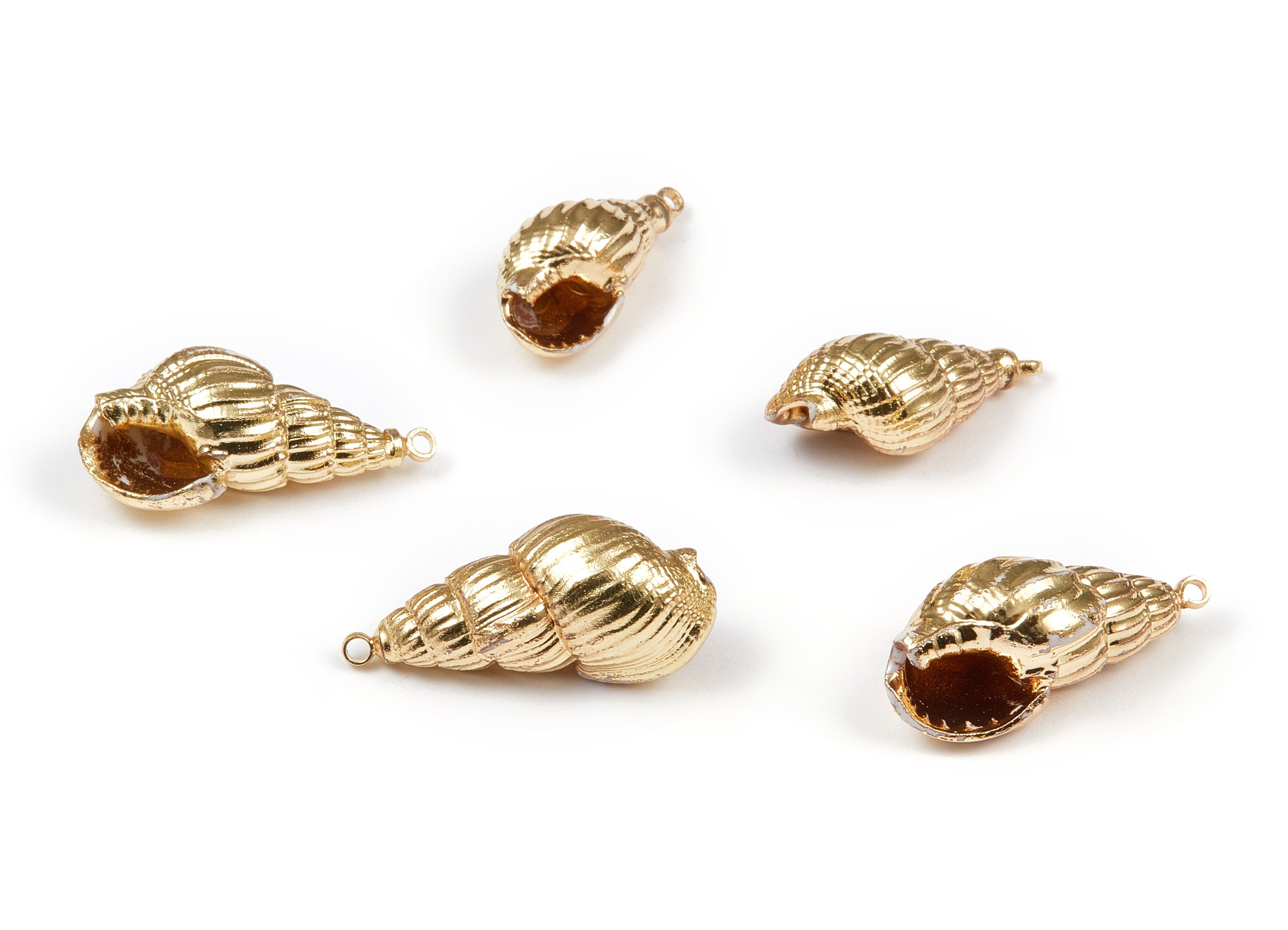 Whelk Seashell Charms - Whelk Shell Pendant - Natural Seashell Earrings - 1 Hole - 23.75x10.13x10.1mm - SF1064 - DOMEDBAZAAR
