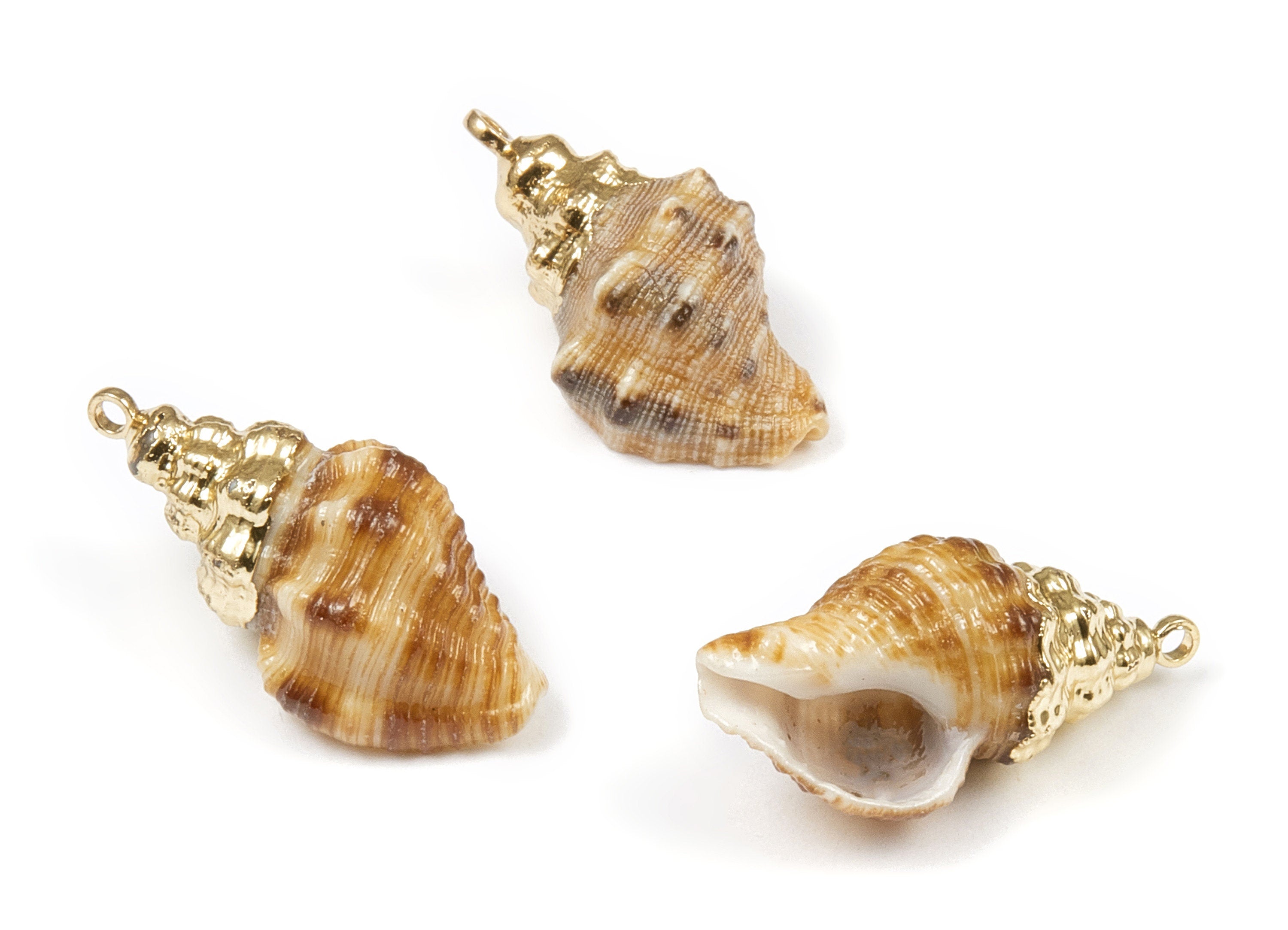 Whelk Seashell Charms - Whelk Shell Pendant - Natural Seashell Earrings - 1 Hole - 23.84x12.18x10.5mm - SF1065 - DOMEDBAZAAR
