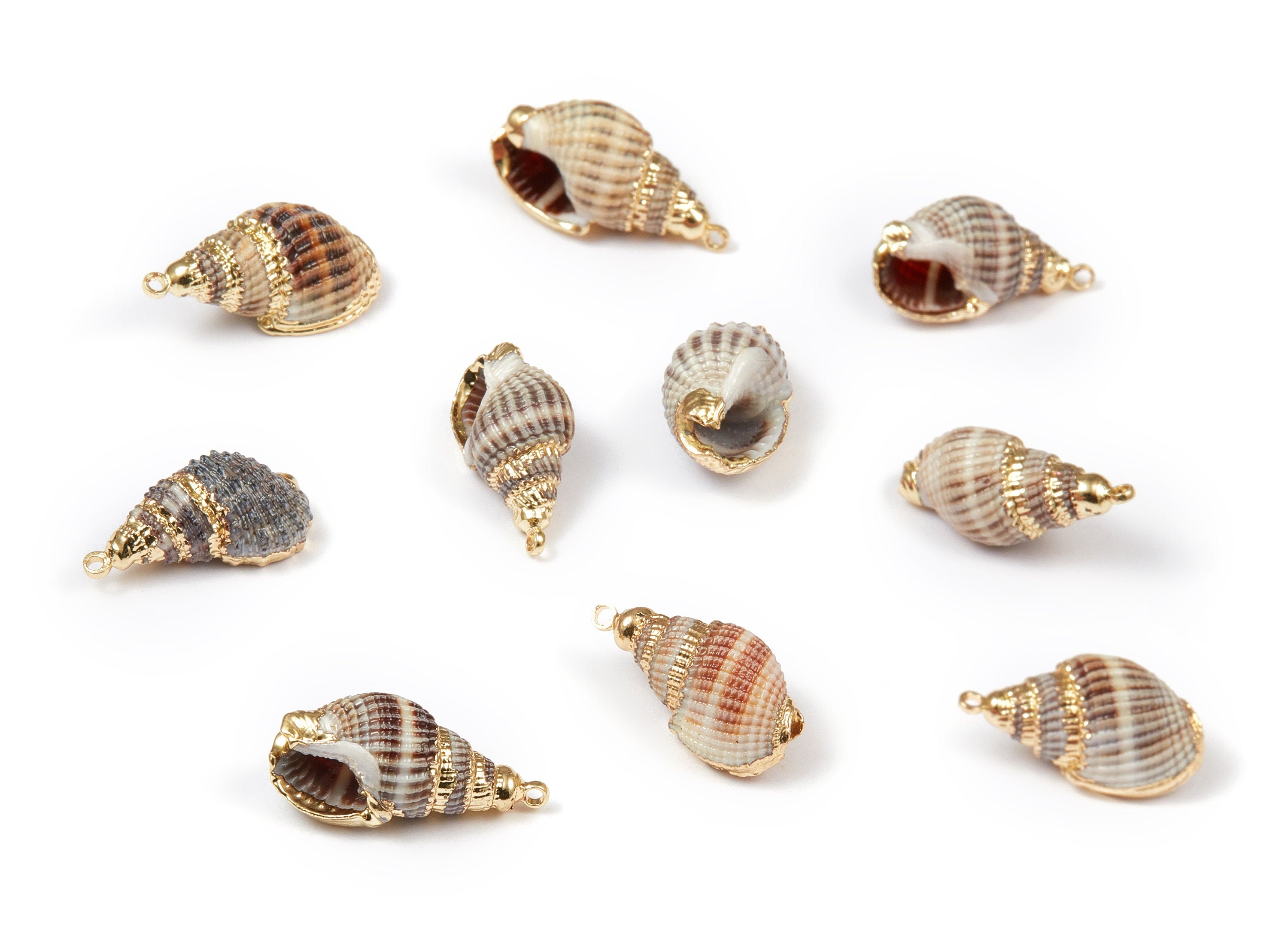 Whelk Seashell Charms - Whelk Shell Pendant - Natural Seashell Earrings - 1 Hole - 23.16x11.51x10.7mm - SF1066 - DOMEDBAZAAR