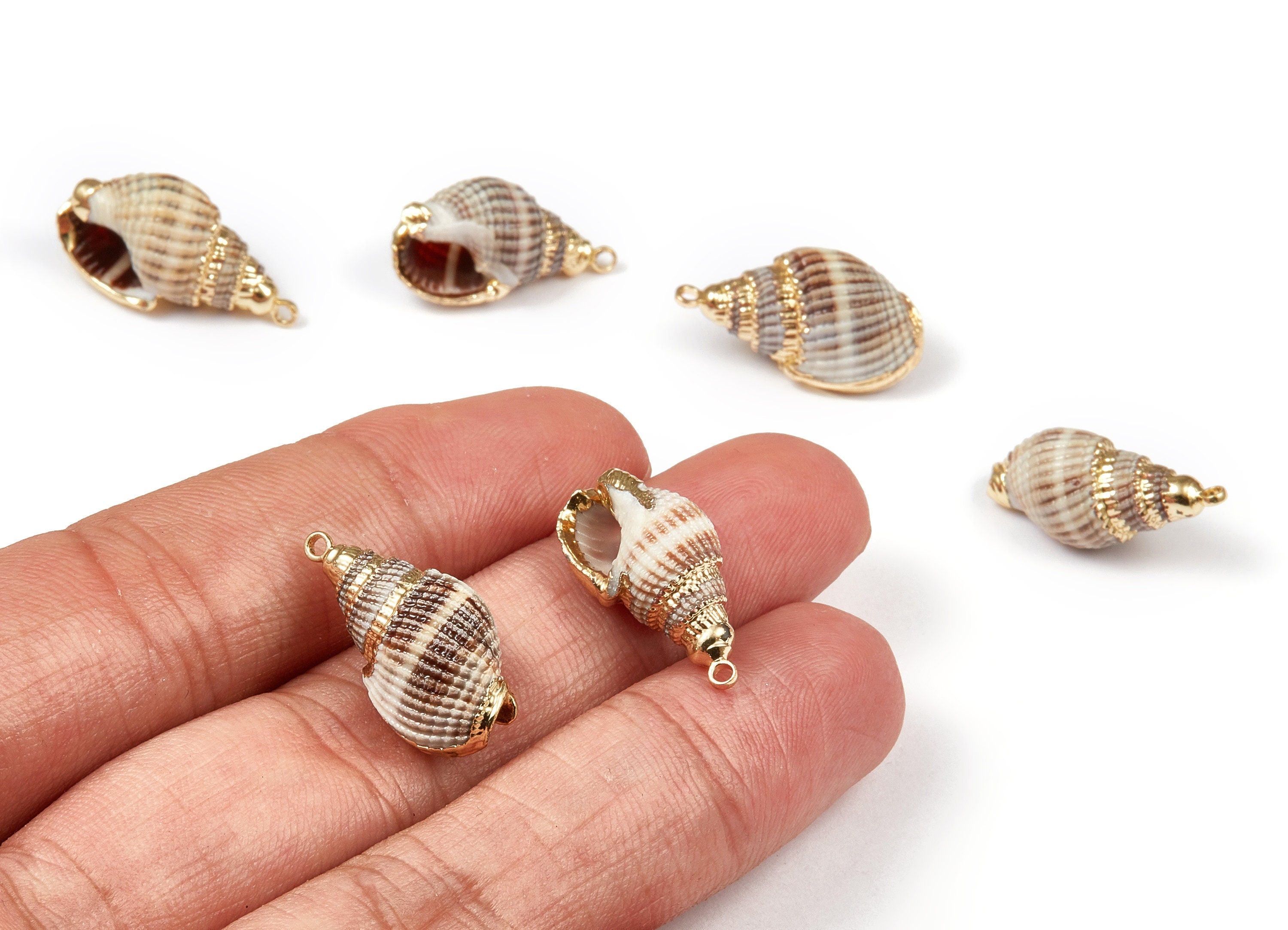 Whelk Seashell Charms - Whelk Shell Pendant - Natural Seashell Earrings - 1 Hole - 23.16x11.51x10.7mm - SF1066 - DOMEDBAZAAR